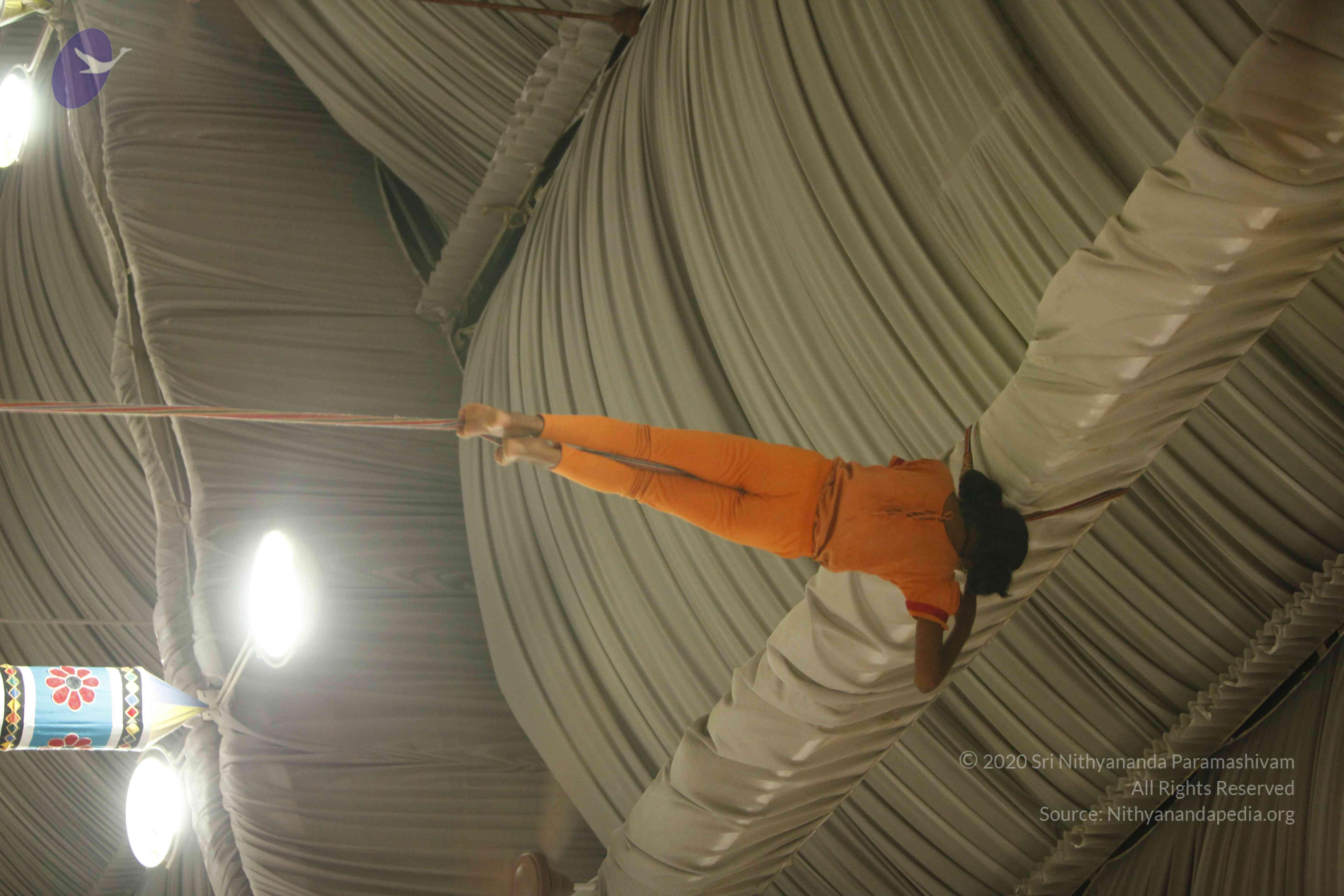 20130528_Photo_1060__MG_2393_CMP_WM