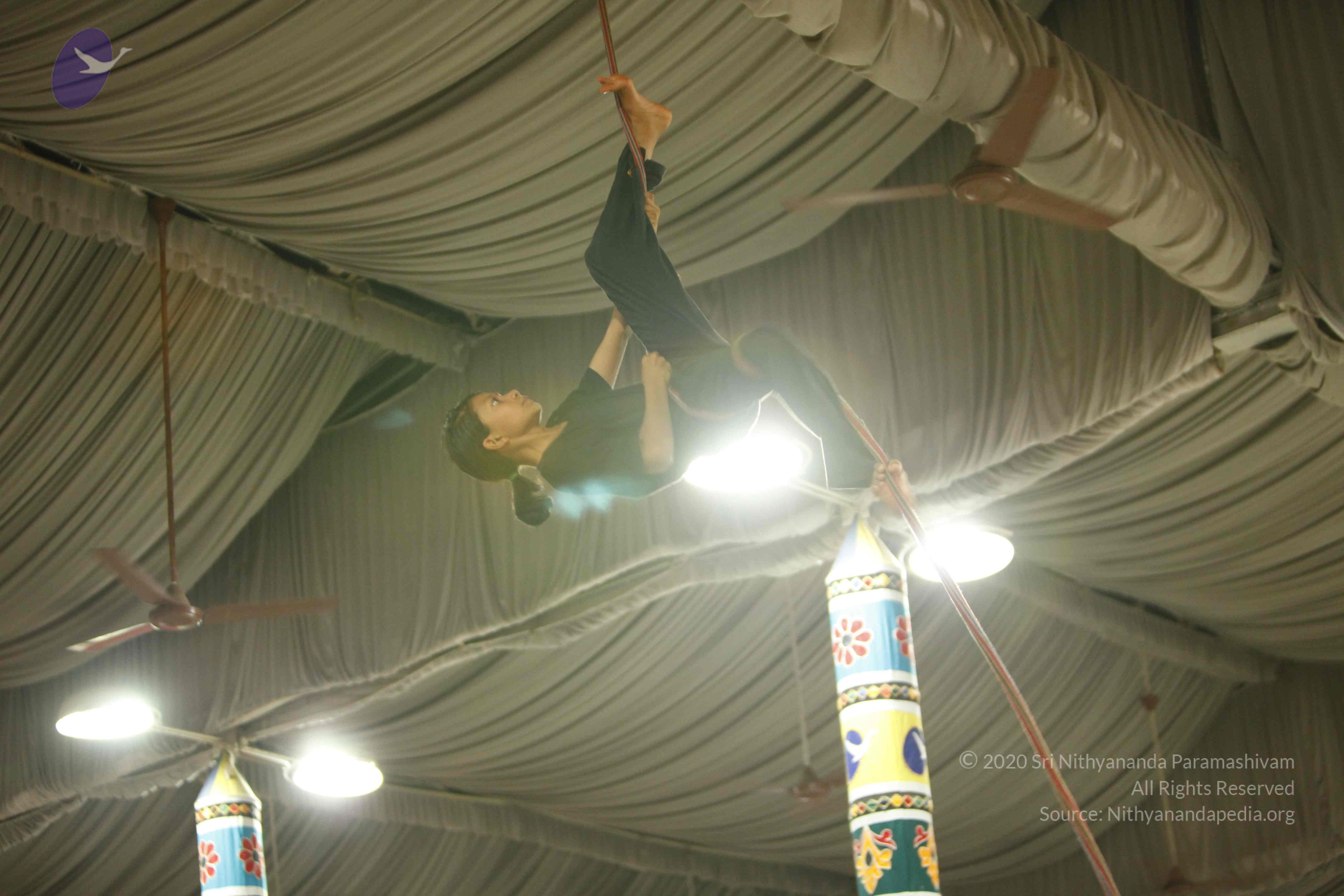 20130528_Photo_1119__MG_2398_CMP_WM