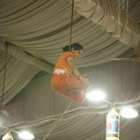 20130528_Photo_1165__MG_2479_CMP_WM