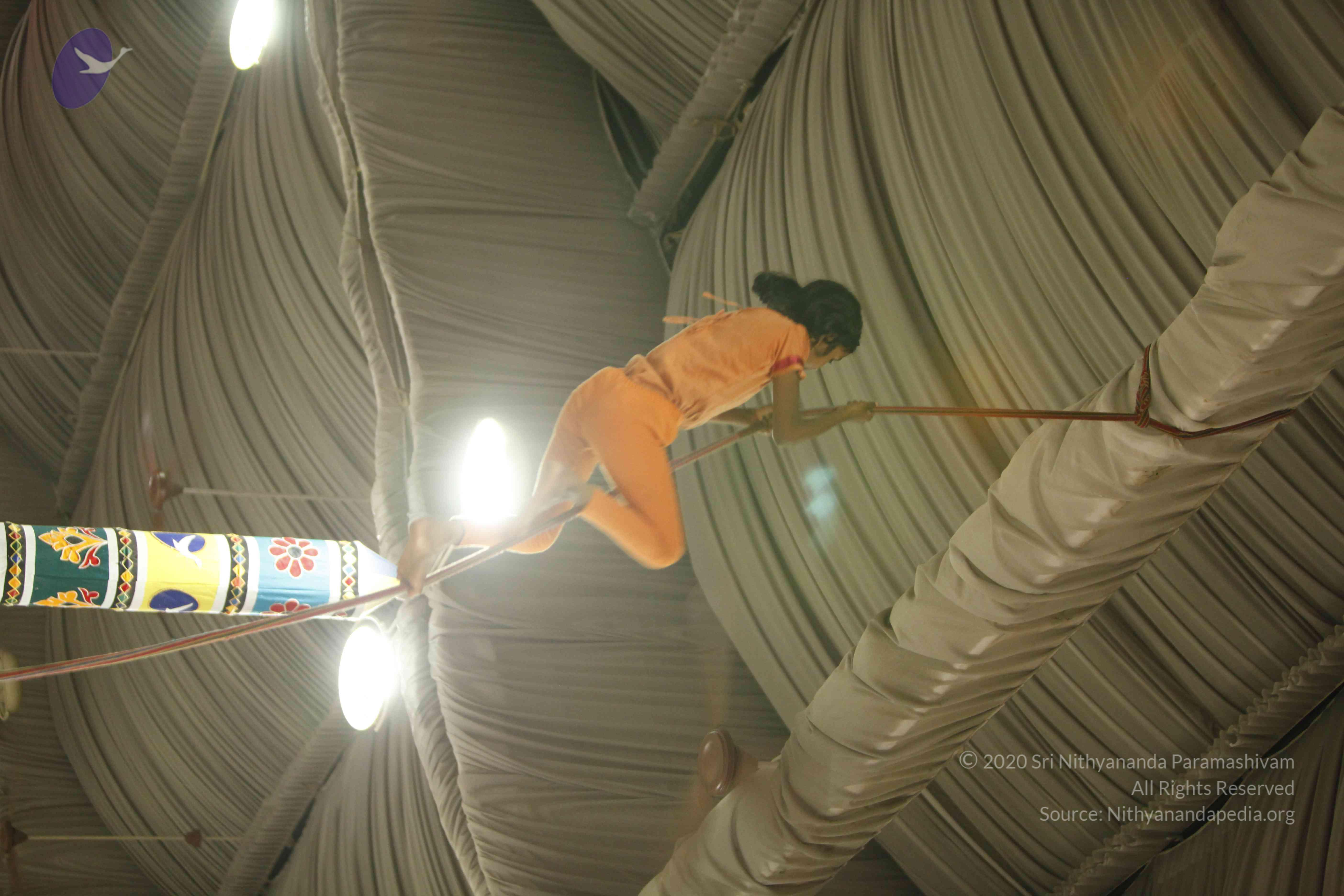 20130528_Photo_1181__MG_2392_CMP_WM