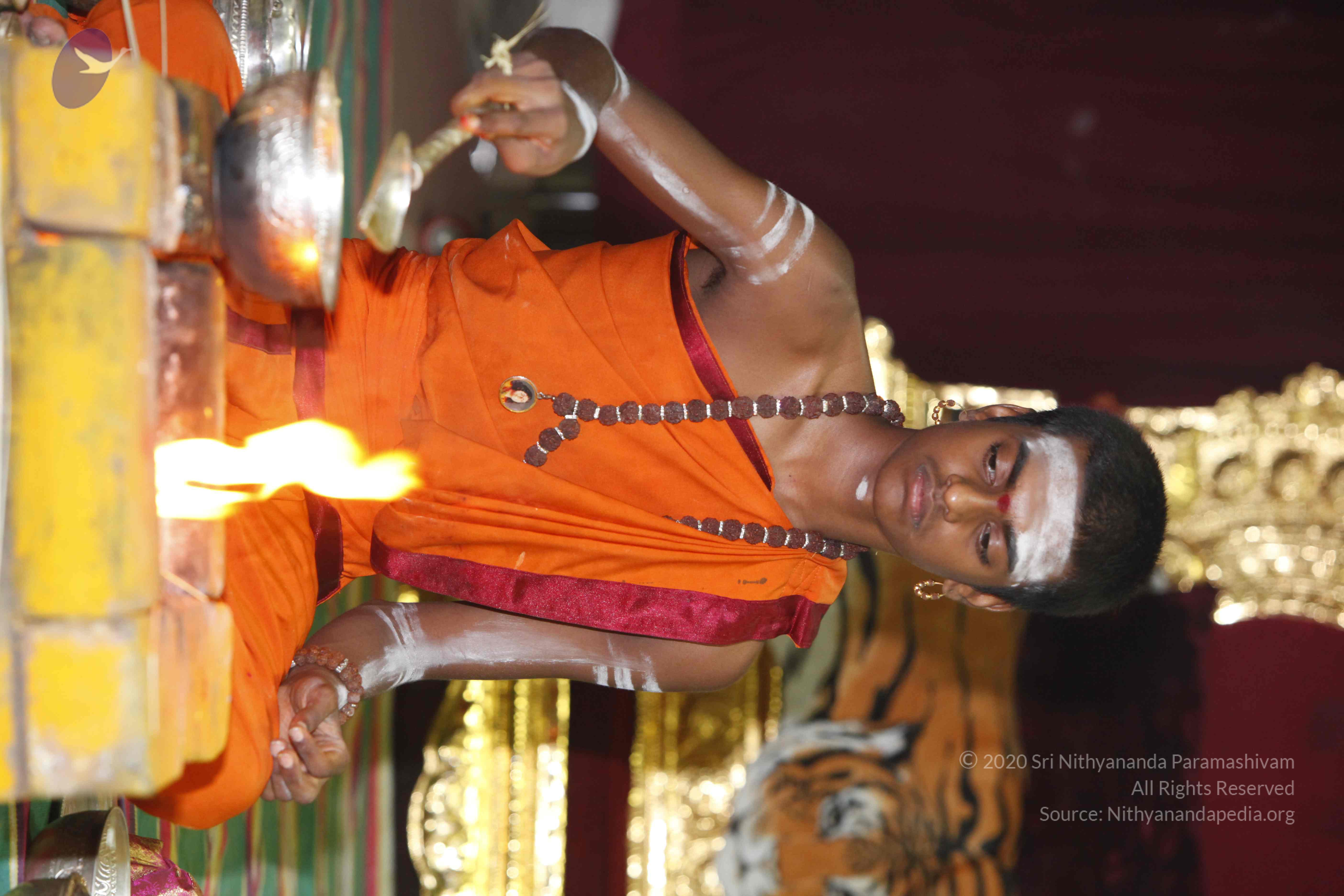 20130528_Photo_1003__MG_2643_CMP_WM