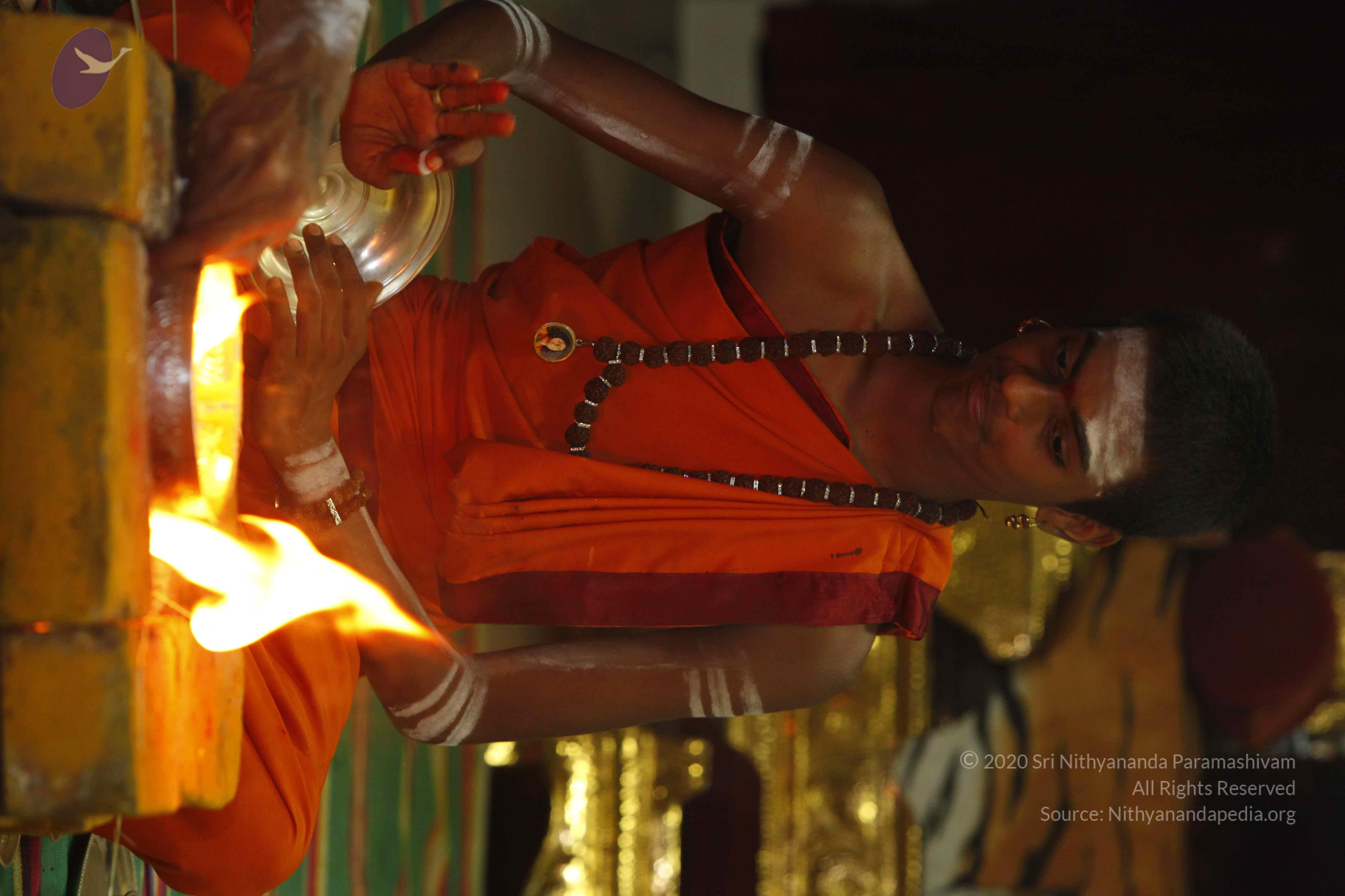 20130528_Photo_1009__MG_2639_CMP_WM