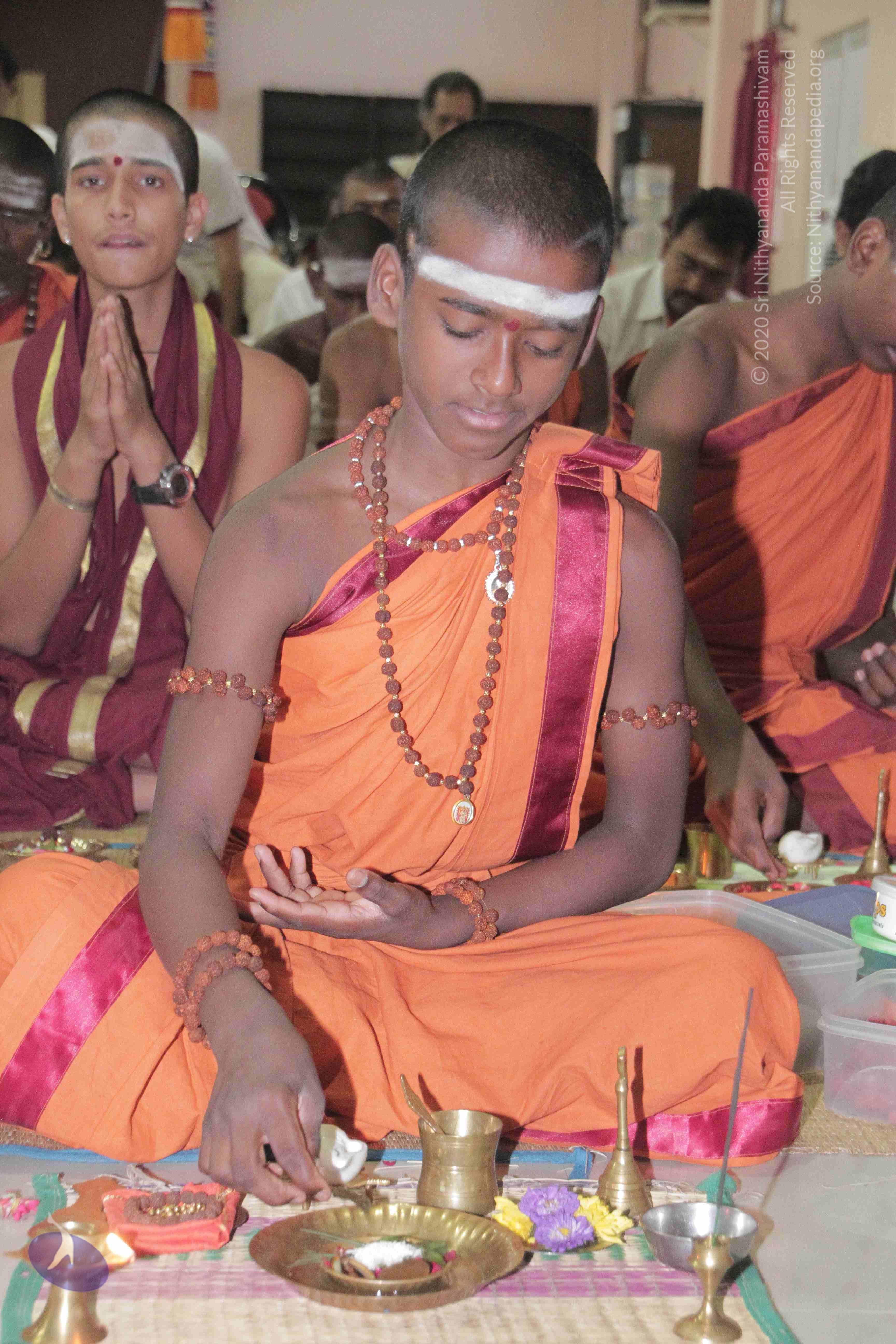 20130325_Photo_1005_136HZWvcNorn3He3n1OcJmhirl1N9otin