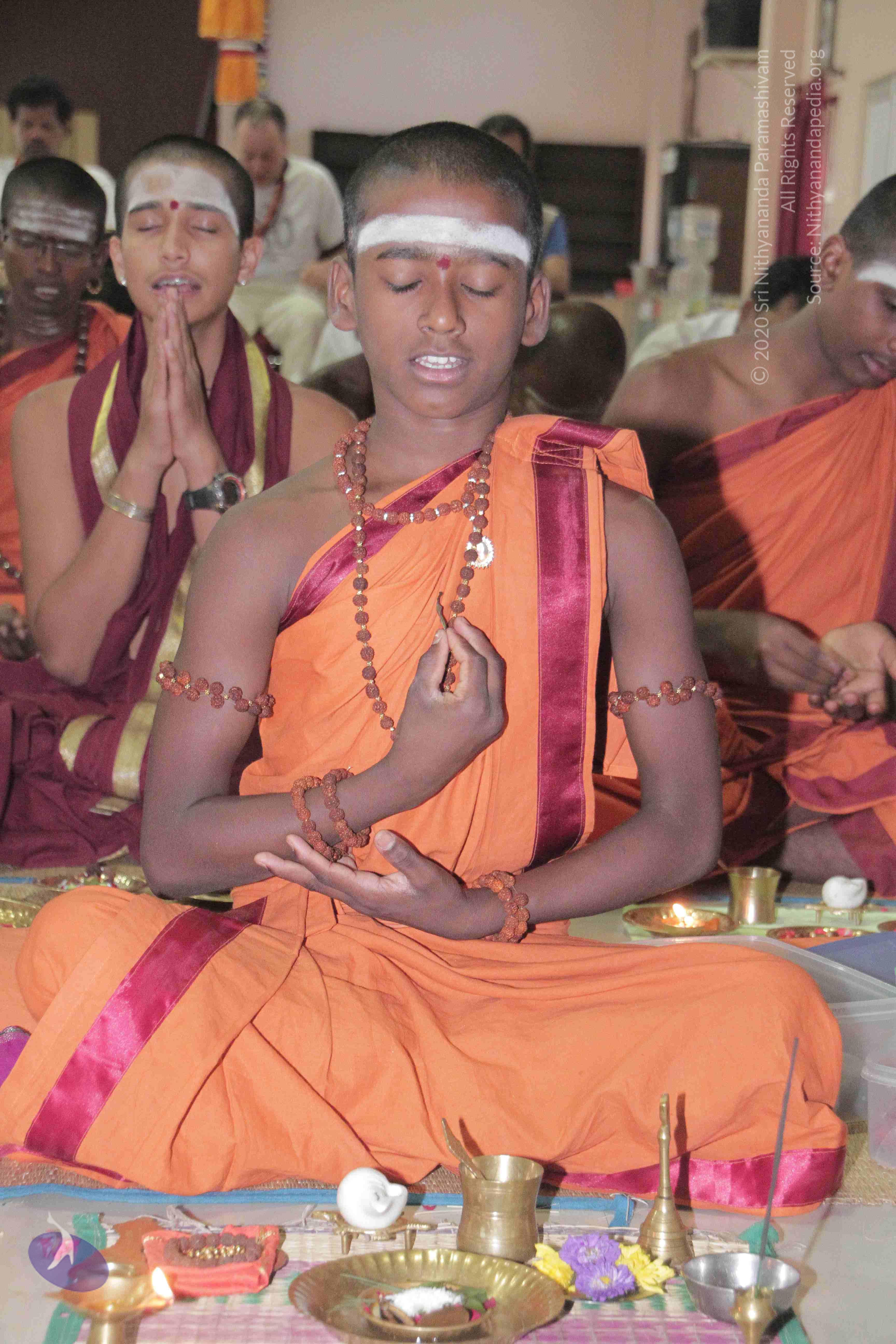 20130325_Photo_1006_1sENB1ciIhJujNutYmeizwBG0pW3TBuks