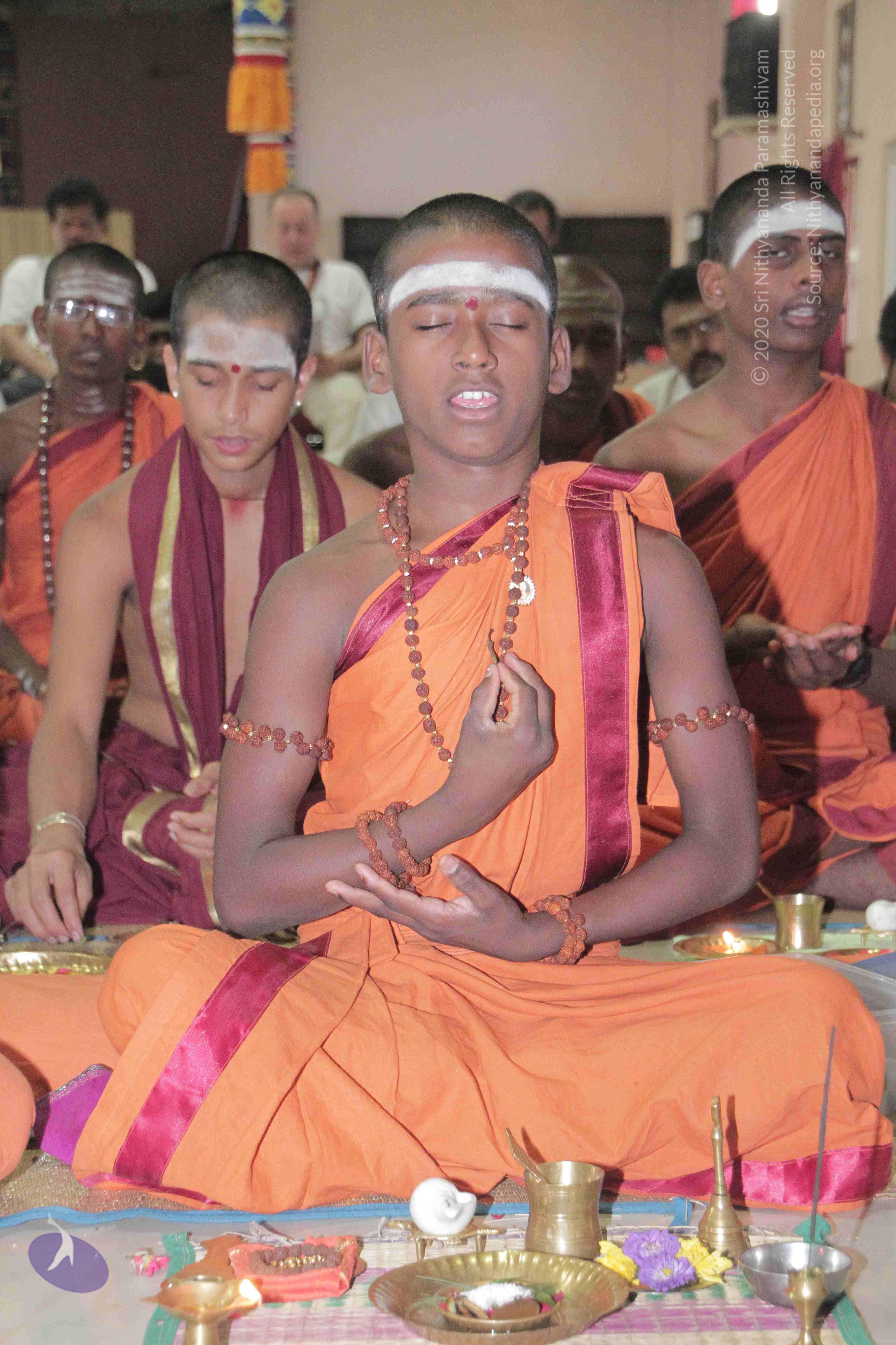 20130325_Photo_1008_1XpfqYtih7TTF06KlMpOnAs07fsr2jRtK