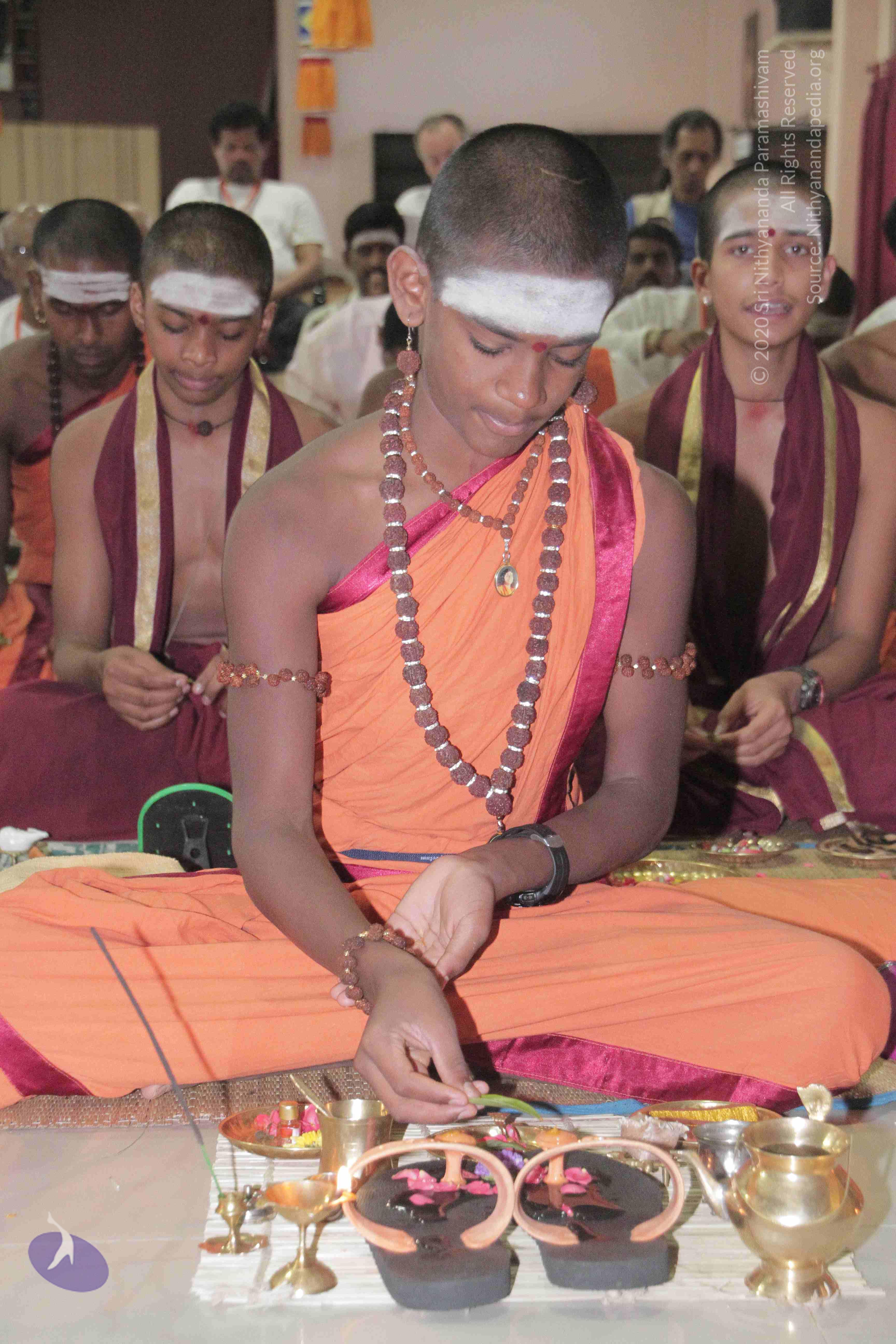 20130325_Photo_1011_1UGr1KmDHPBiMEkCRIa9gc3W0MMgQQ1Gm