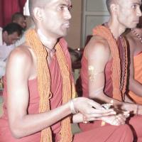 20130325_Photo_1001_1DRCLi7WkRkGFn4NOsVSiCnhj0CHoOr5G