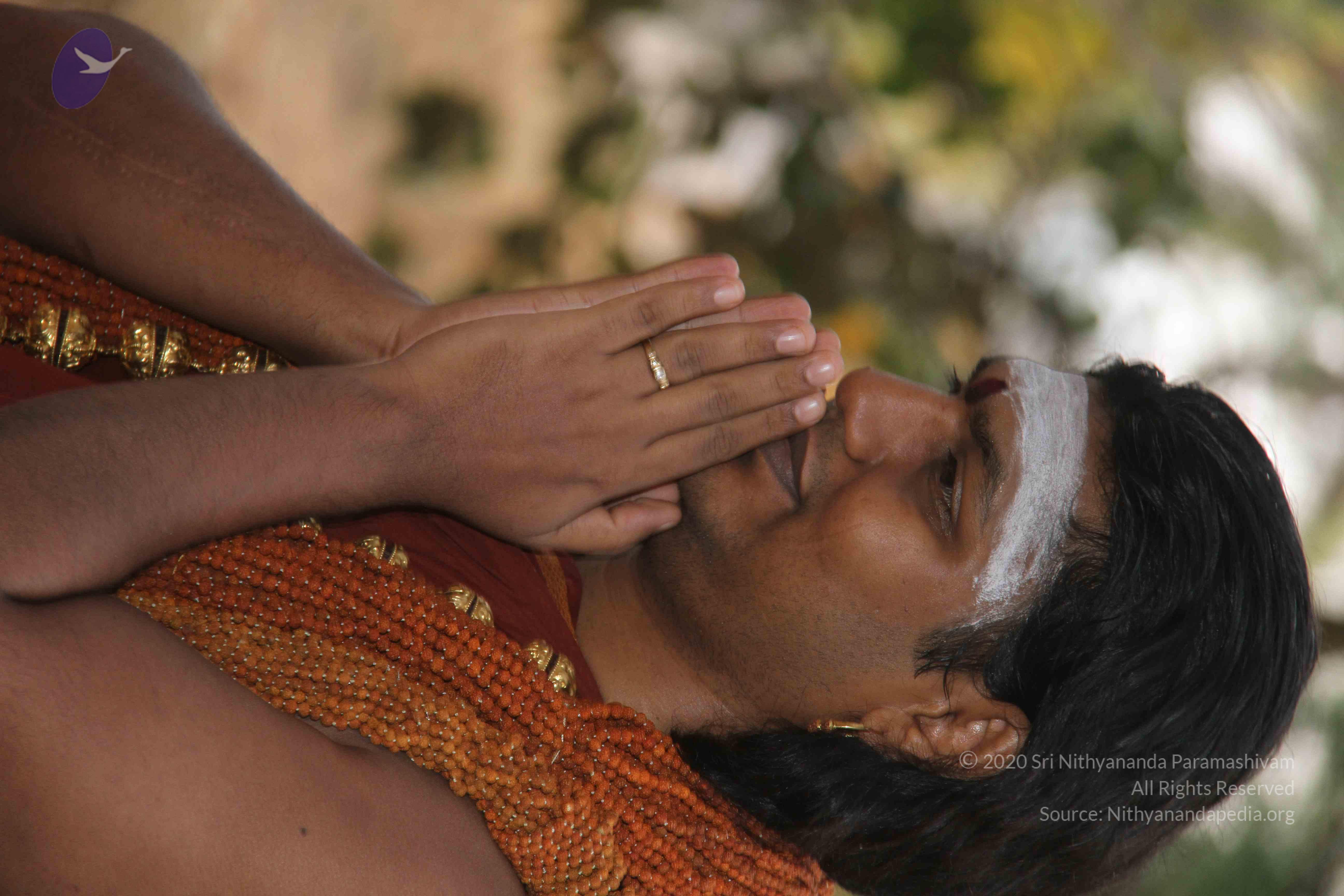 20130327_Photo_1022_1rsv749zbmeTo89Hj-VeF6YhnrfutPC4R