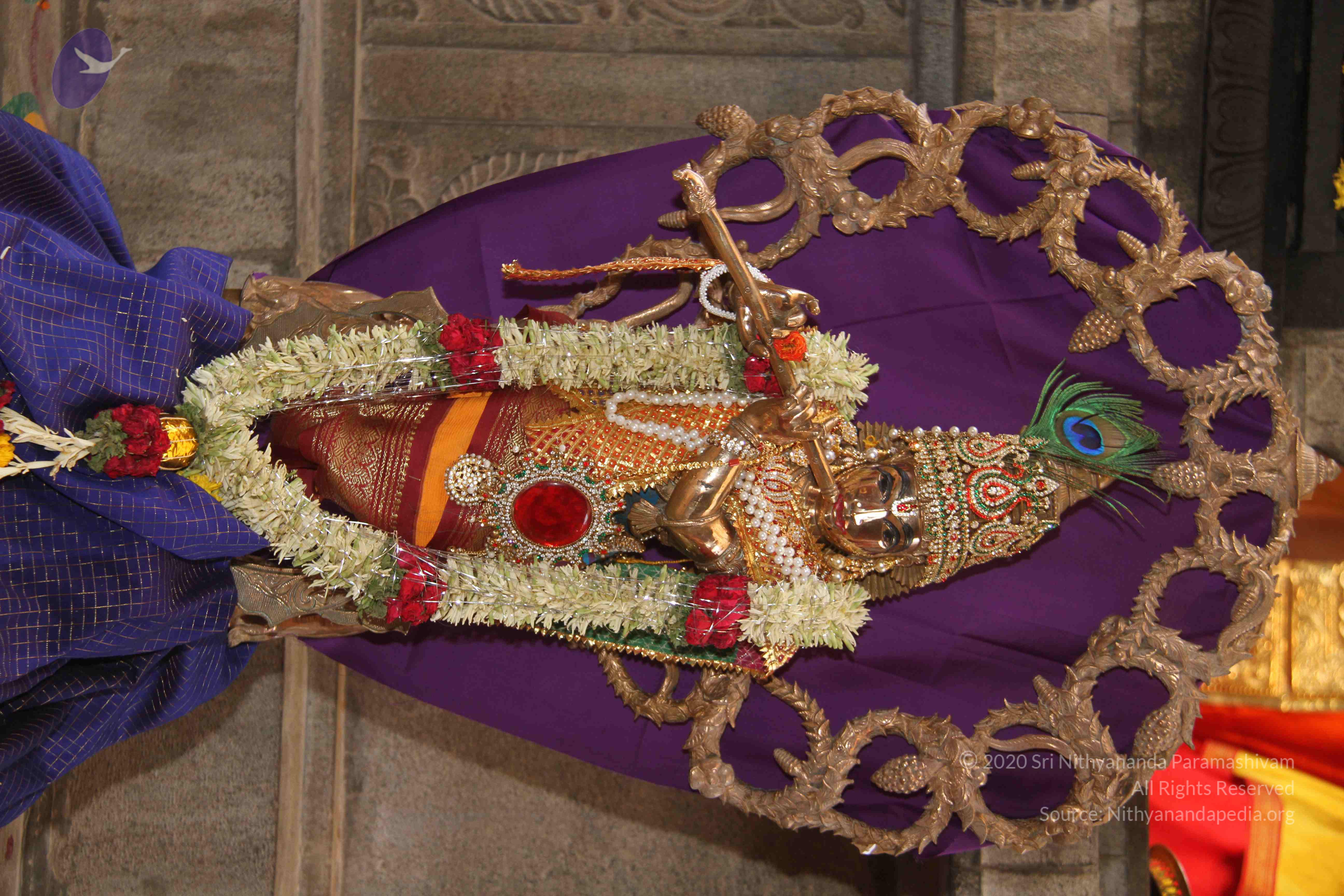 20130328_Photo_1002_1dKol0pVC9W7qyDfo89jzwSpQAr6TYy2g