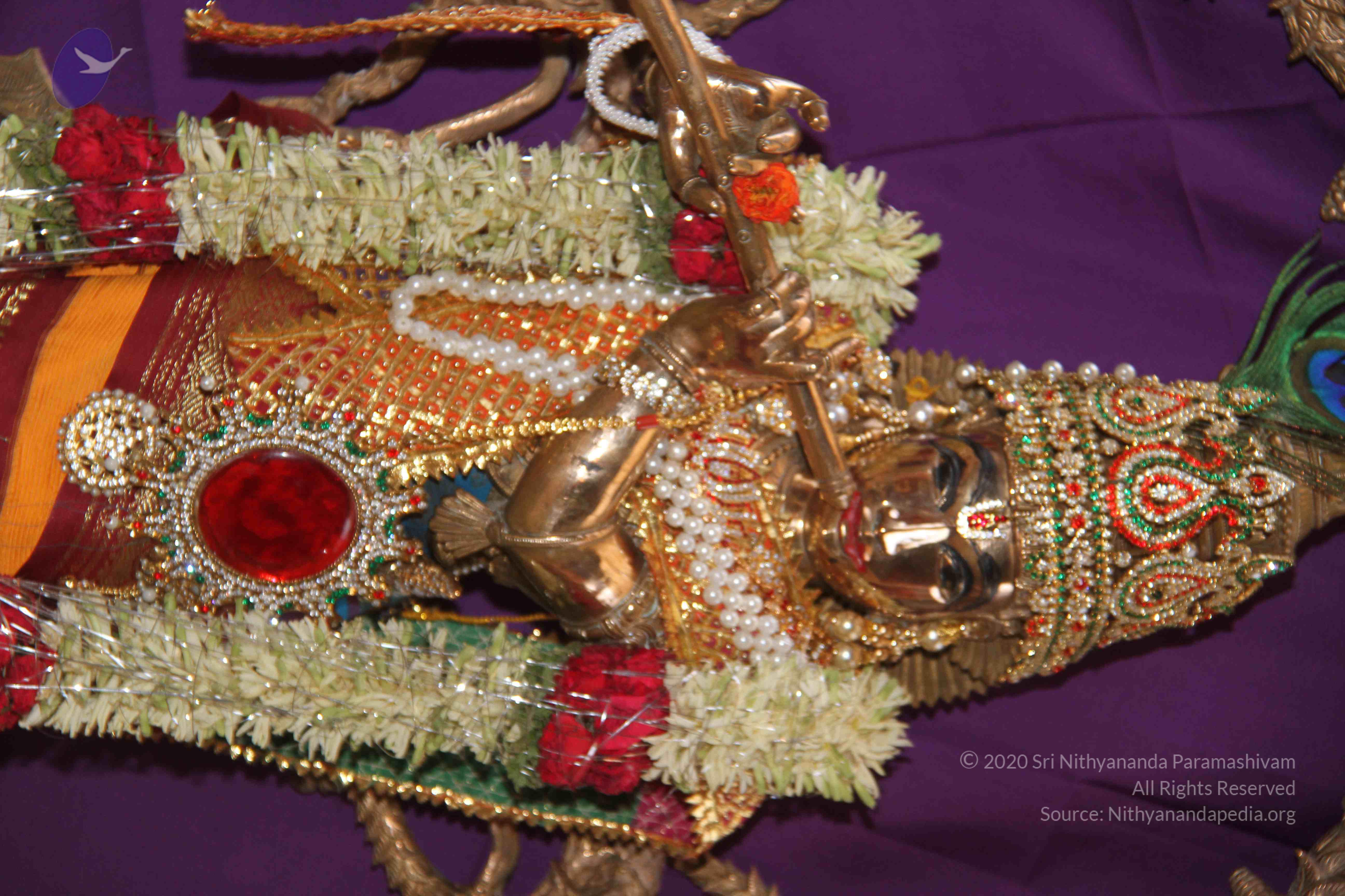 20130328_Photo_1003_1zG3Y0JFKJI_XB79kQalxpyY4jdX99dP8