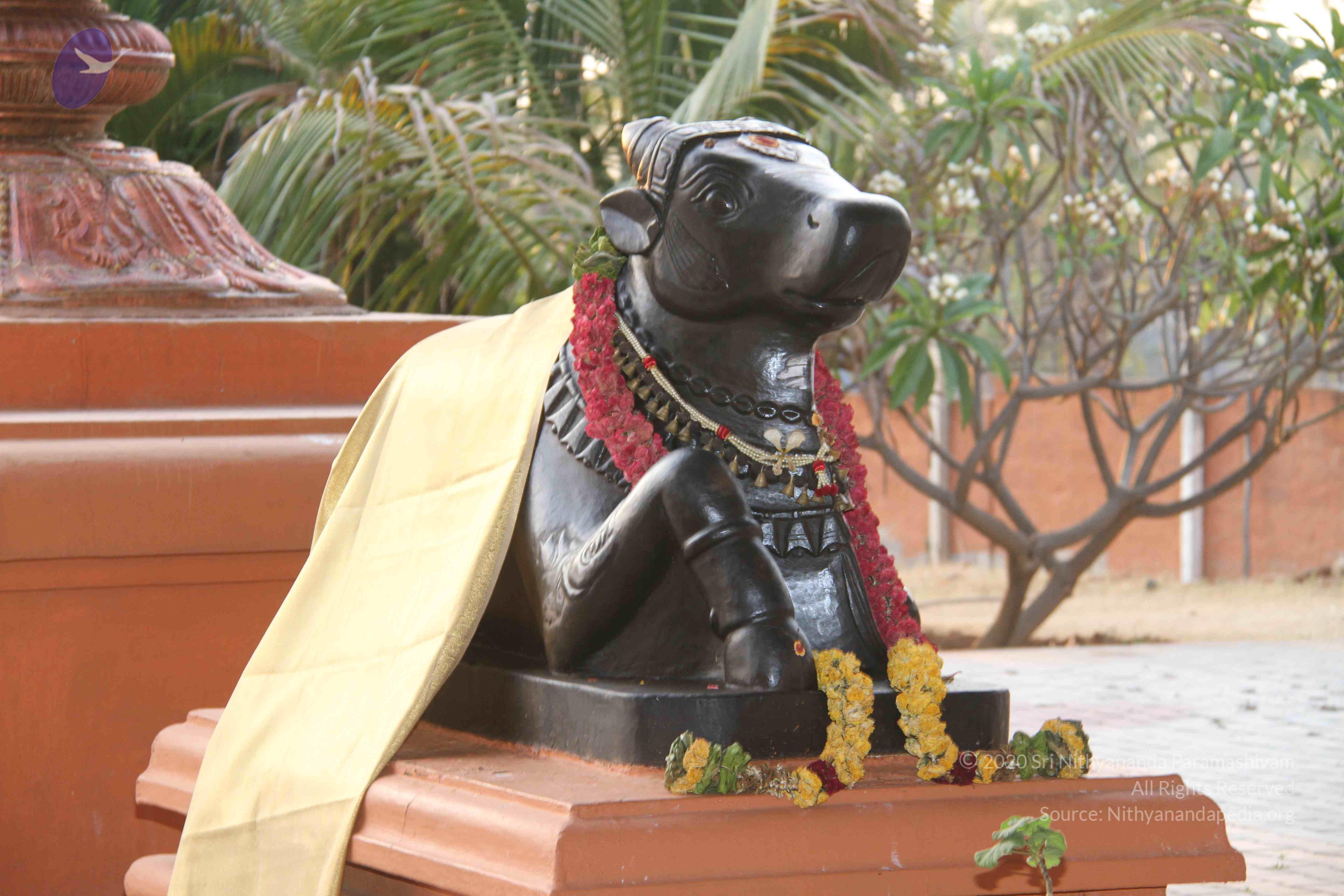 20130328_Photo_1007_1B-TMGtha8NT7uXSdK8afEC2j8y0lq8Xm