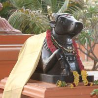 20130328_Photo_1007_1B-TMGtha8NT7uXSdK8afEC2j8y0lq8Xm