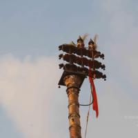 20130328_Photo_1010_1f2F0xgUxfRY_BosTELM-XM5z97VUJjj8