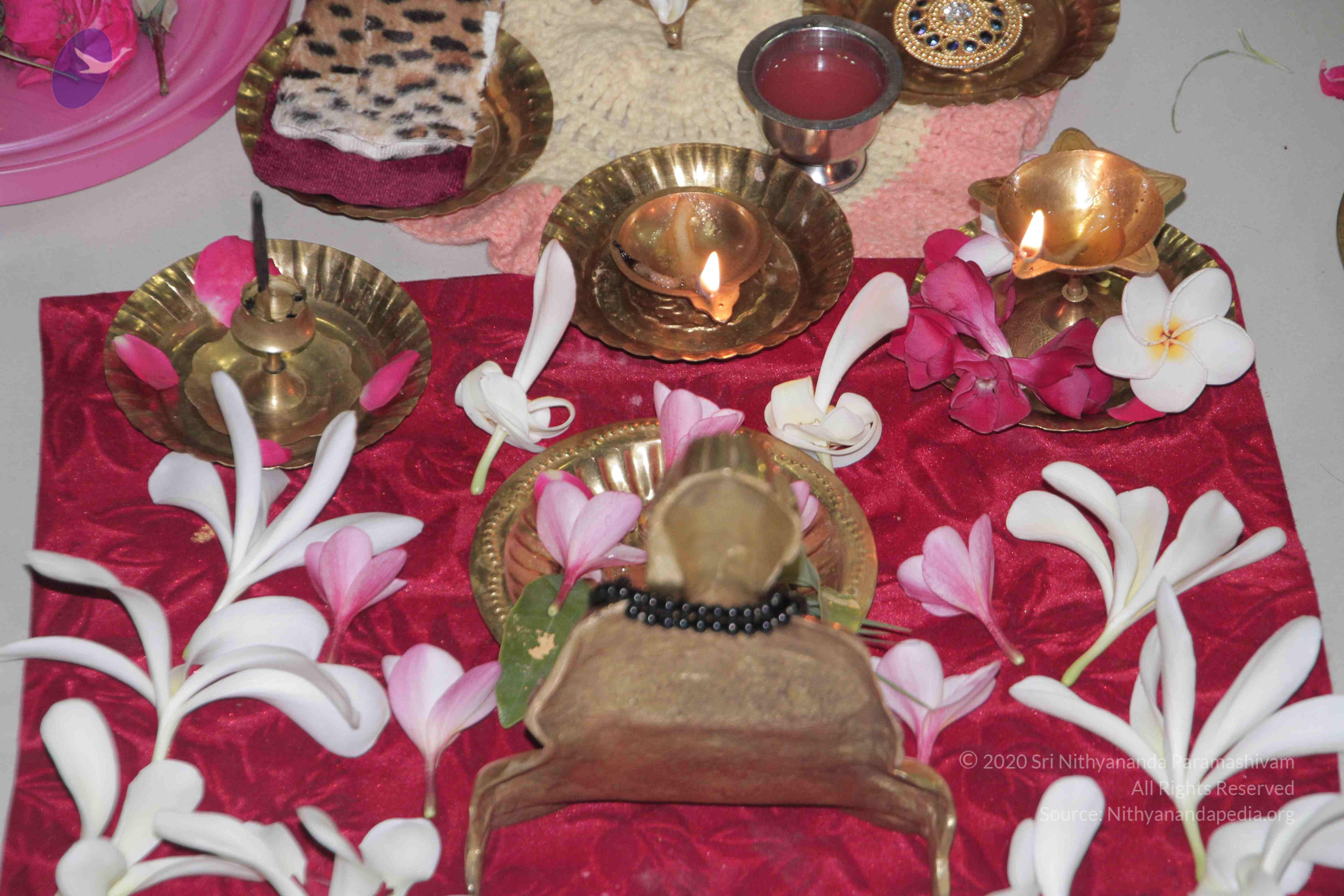 20130328_Photo_1009_1FeY_5CBfj5bmIigLdpBnNQ34nU3HTreh