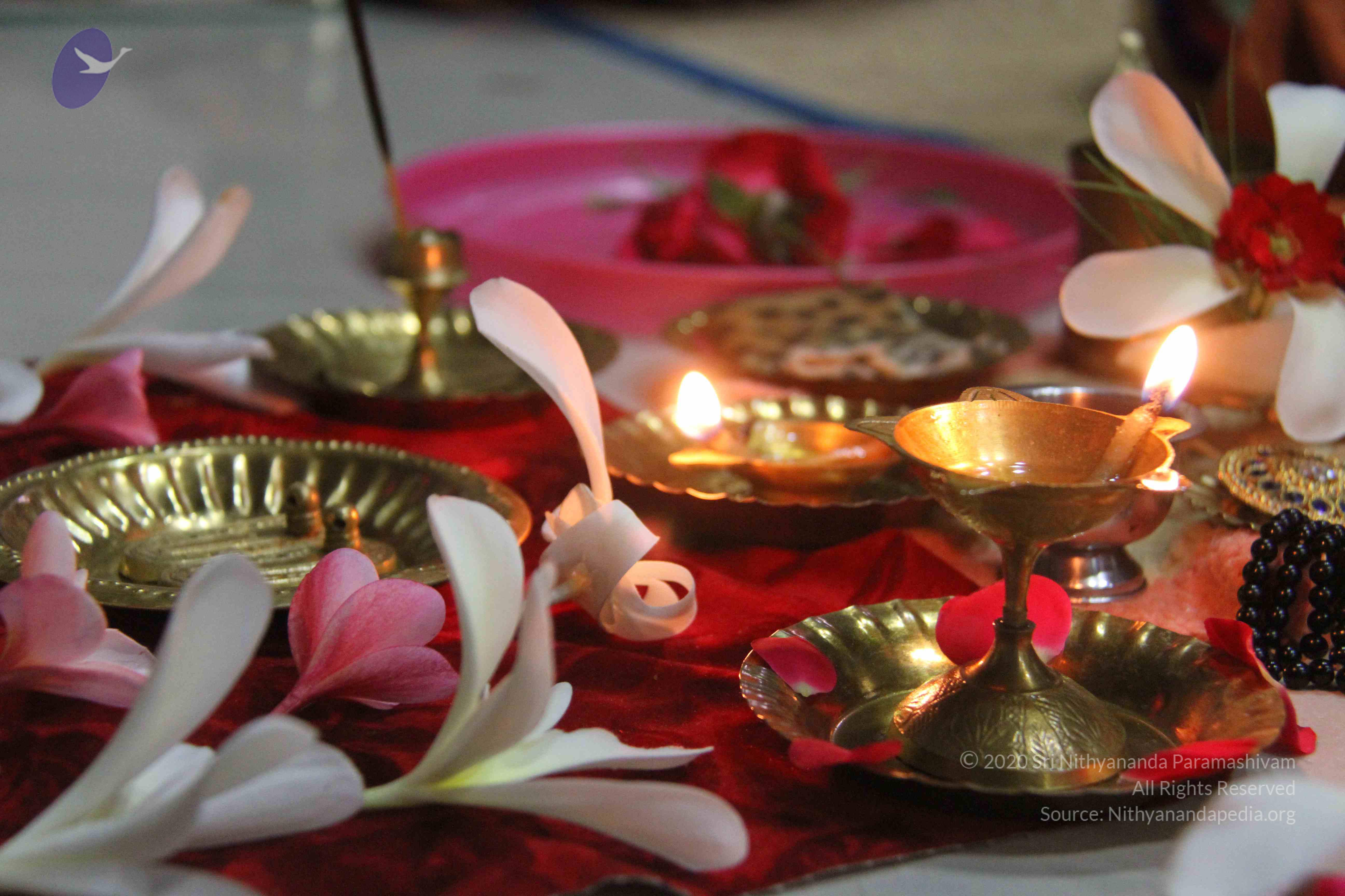 20130328_Photo_1011_1EfXSuEJCj0rbledowsjghedn1mEO-1Ad