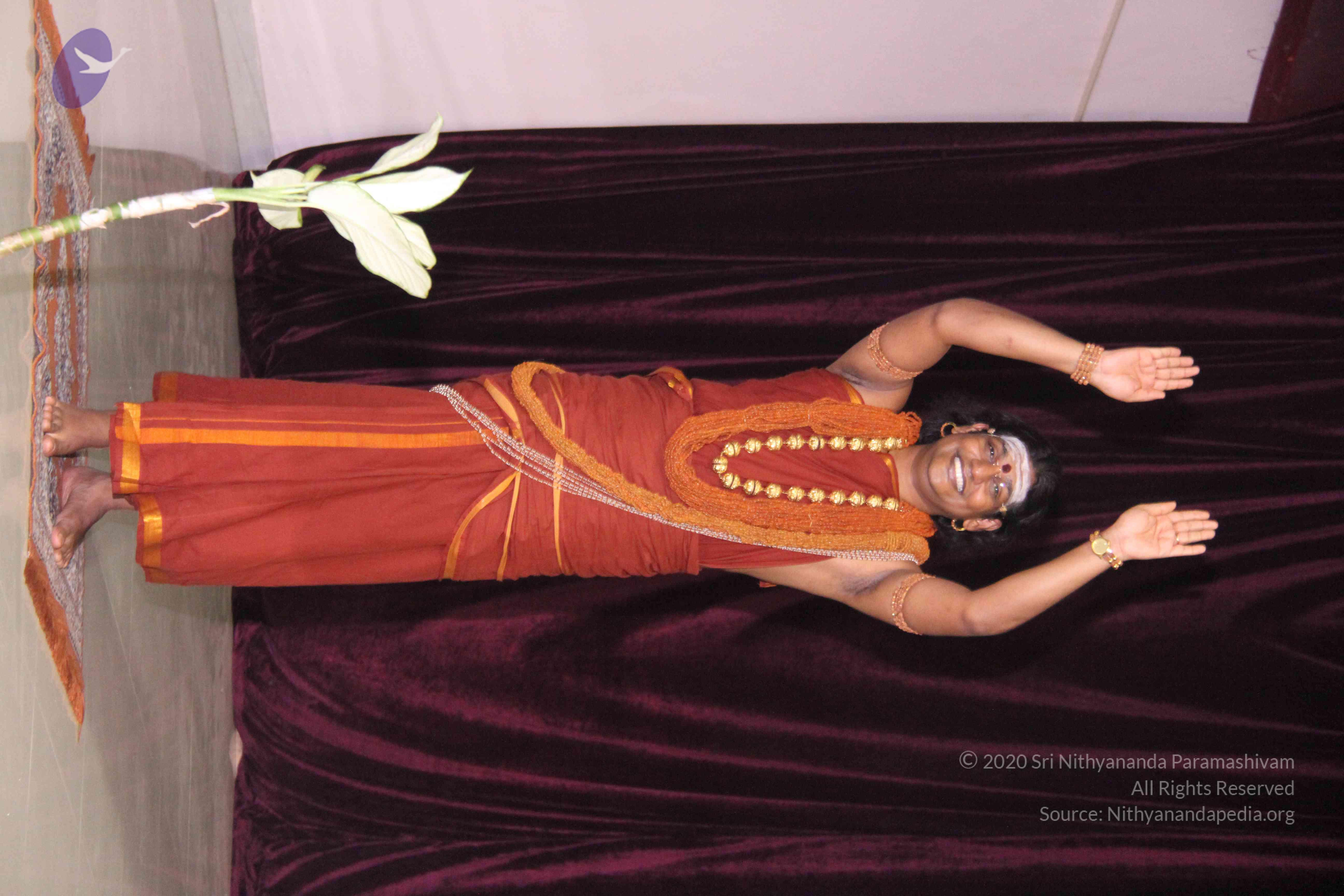 20130328_Photo_1020_12h25fm1vASnfGG9yWf6X8jjP0ByxhVB0