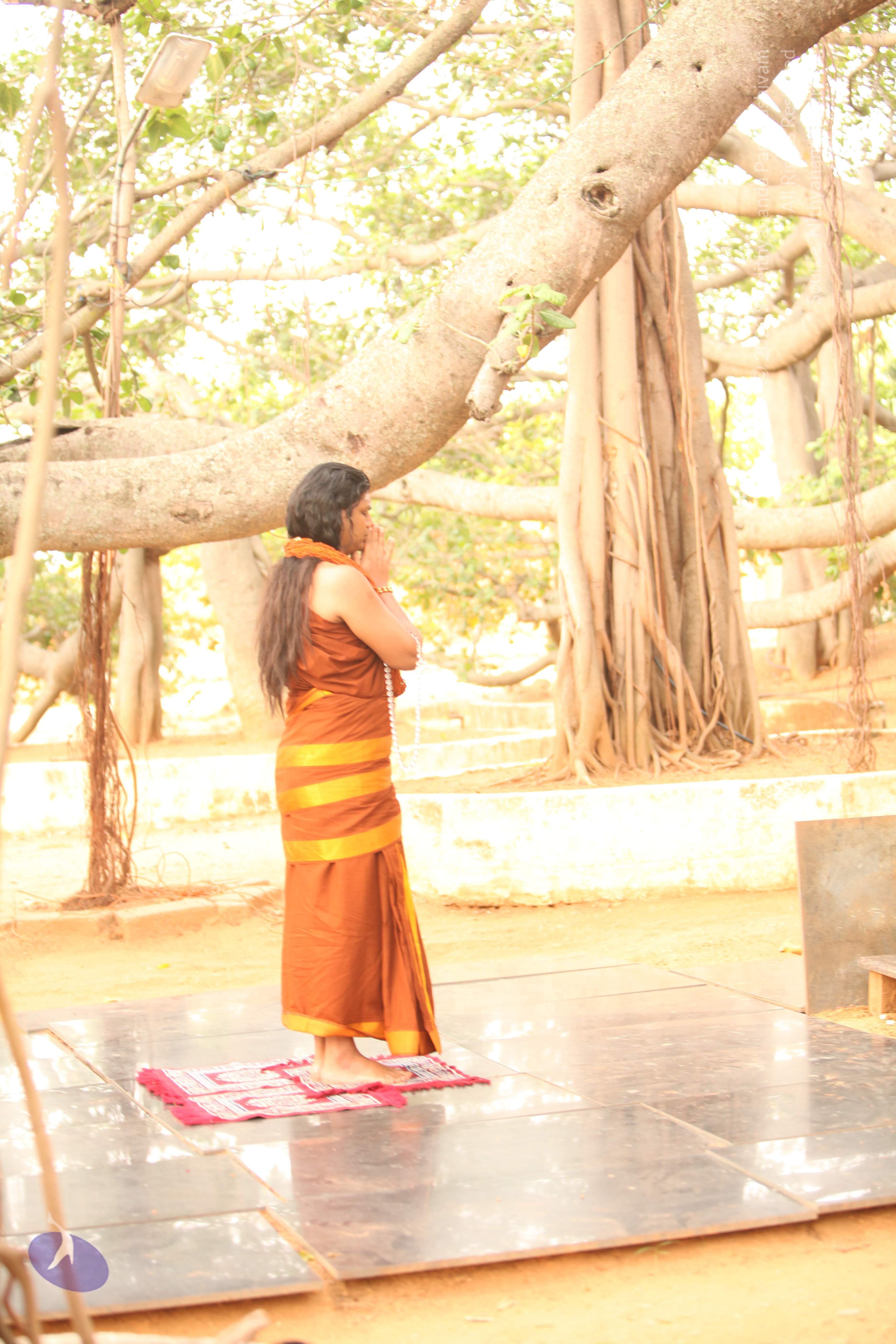 20130509_Photo_1021_IMG_2030_CMP_WM