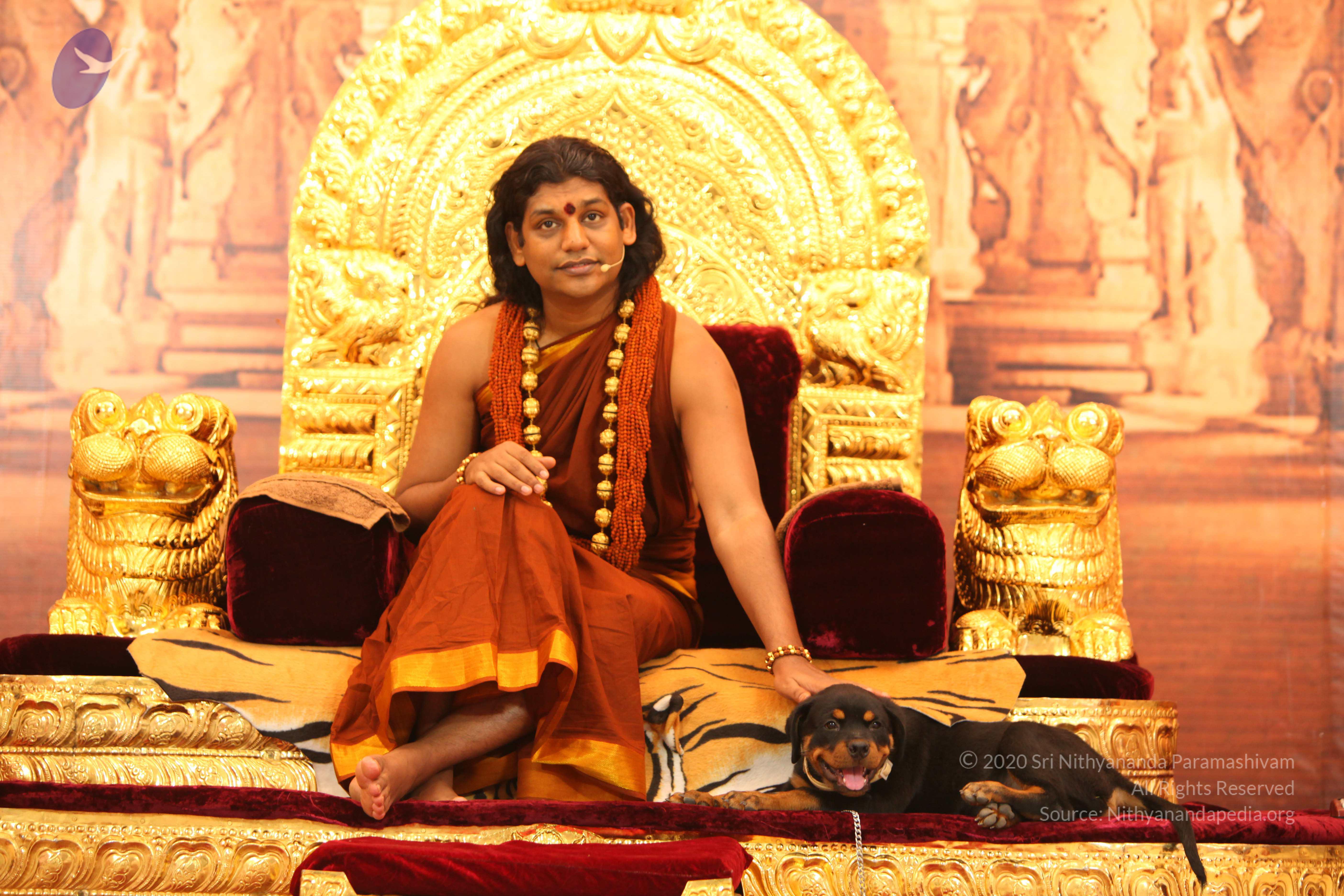 20130509_Photo_1033_IMG_2299_CMP_WM