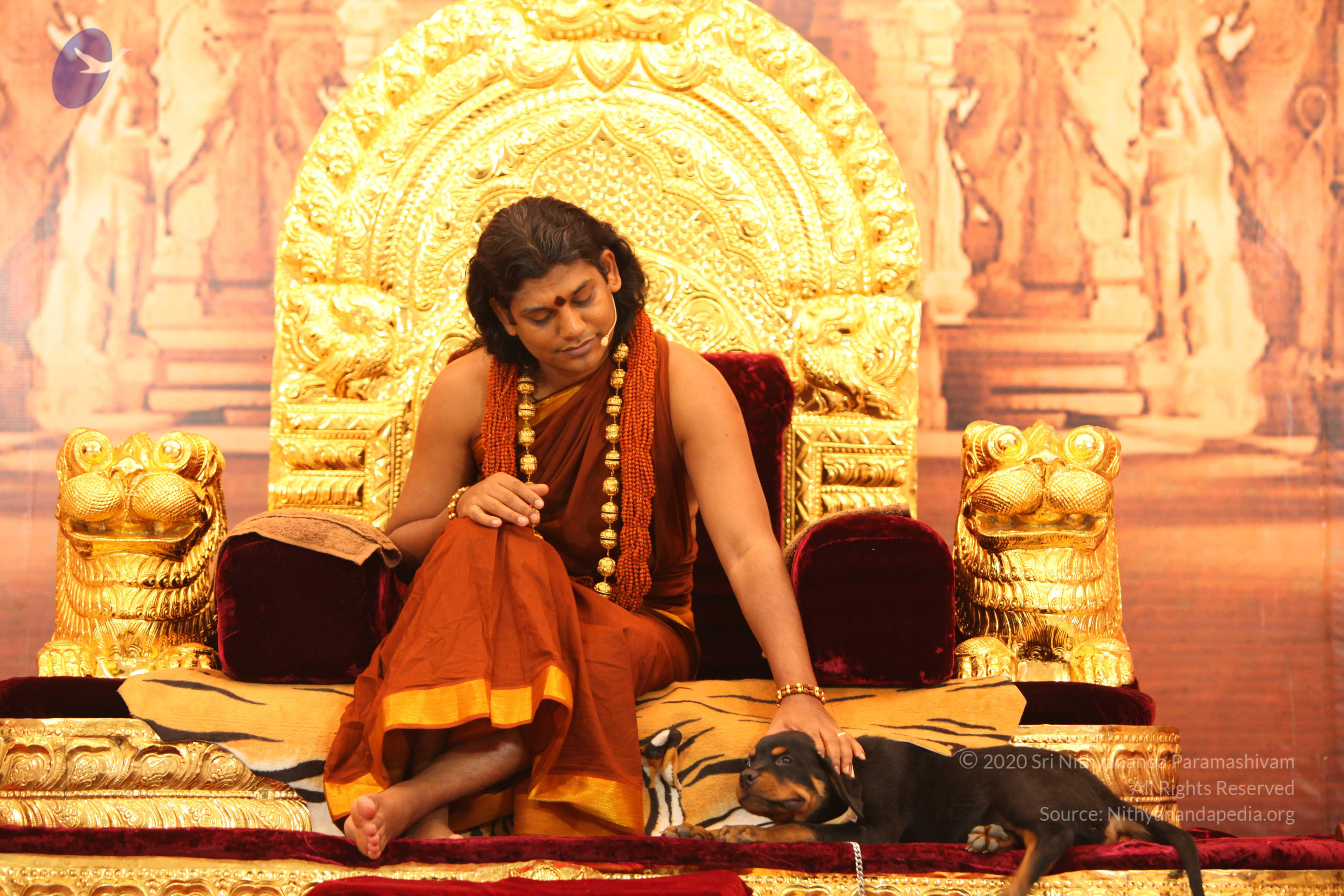 20130509_Photo_1038_IMG_2301_CMP_WM