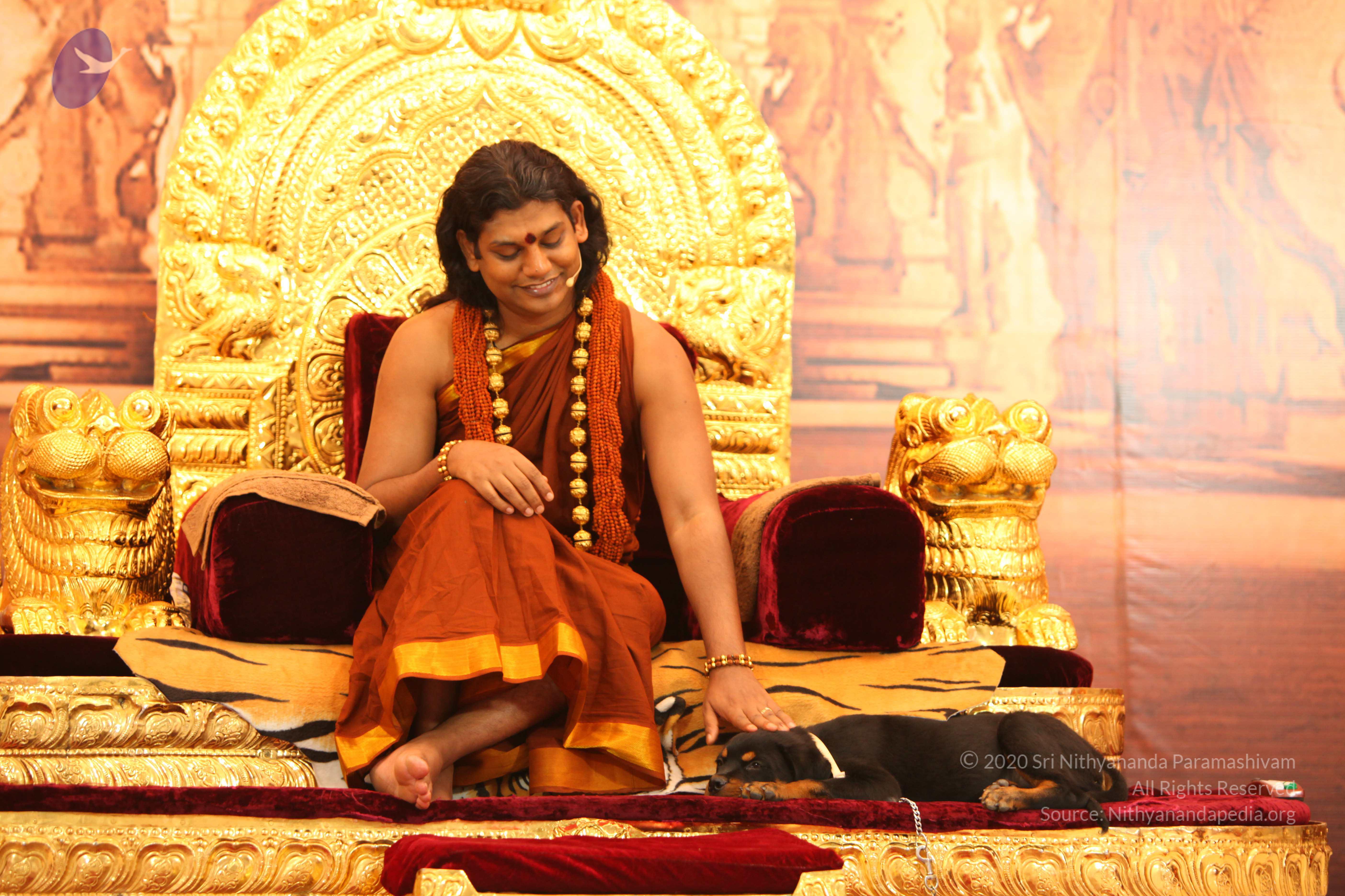 20130509_Photo_1051_IMG_2293_CMP_WM