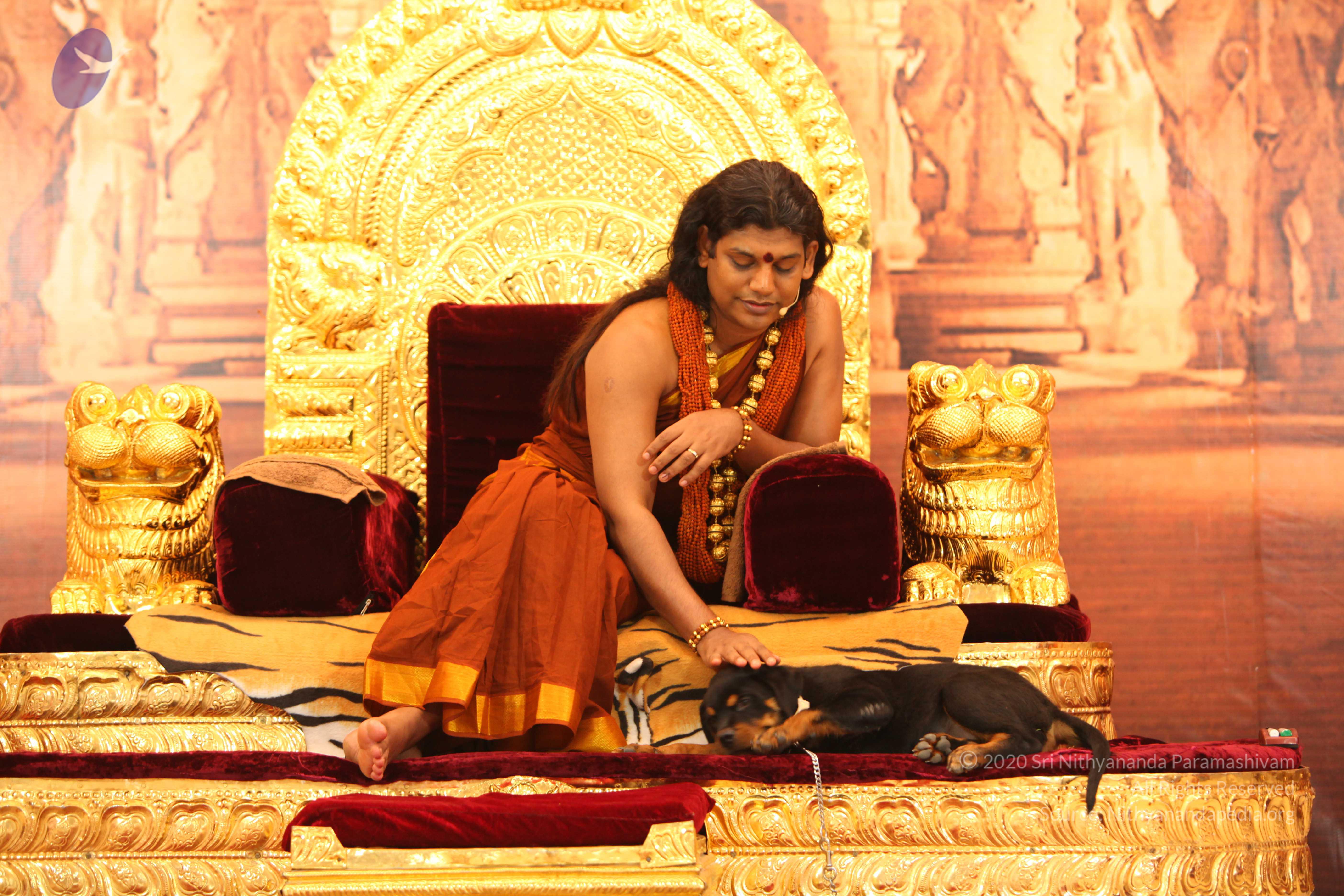 20130509_Photo_1053_IMG_2306_CMP_WM