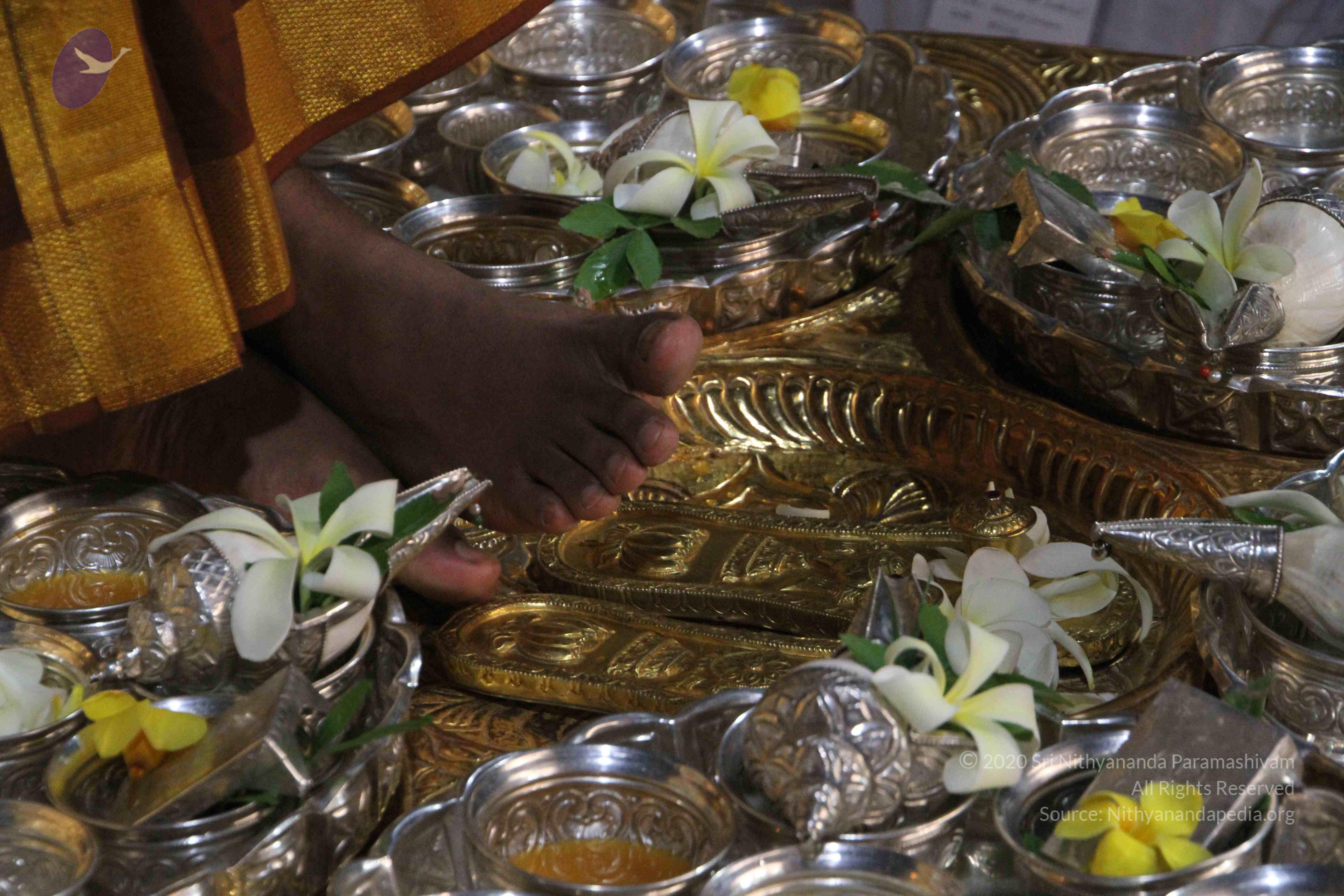 20130509_Photo_1059_IMG_9627_CMP_WM