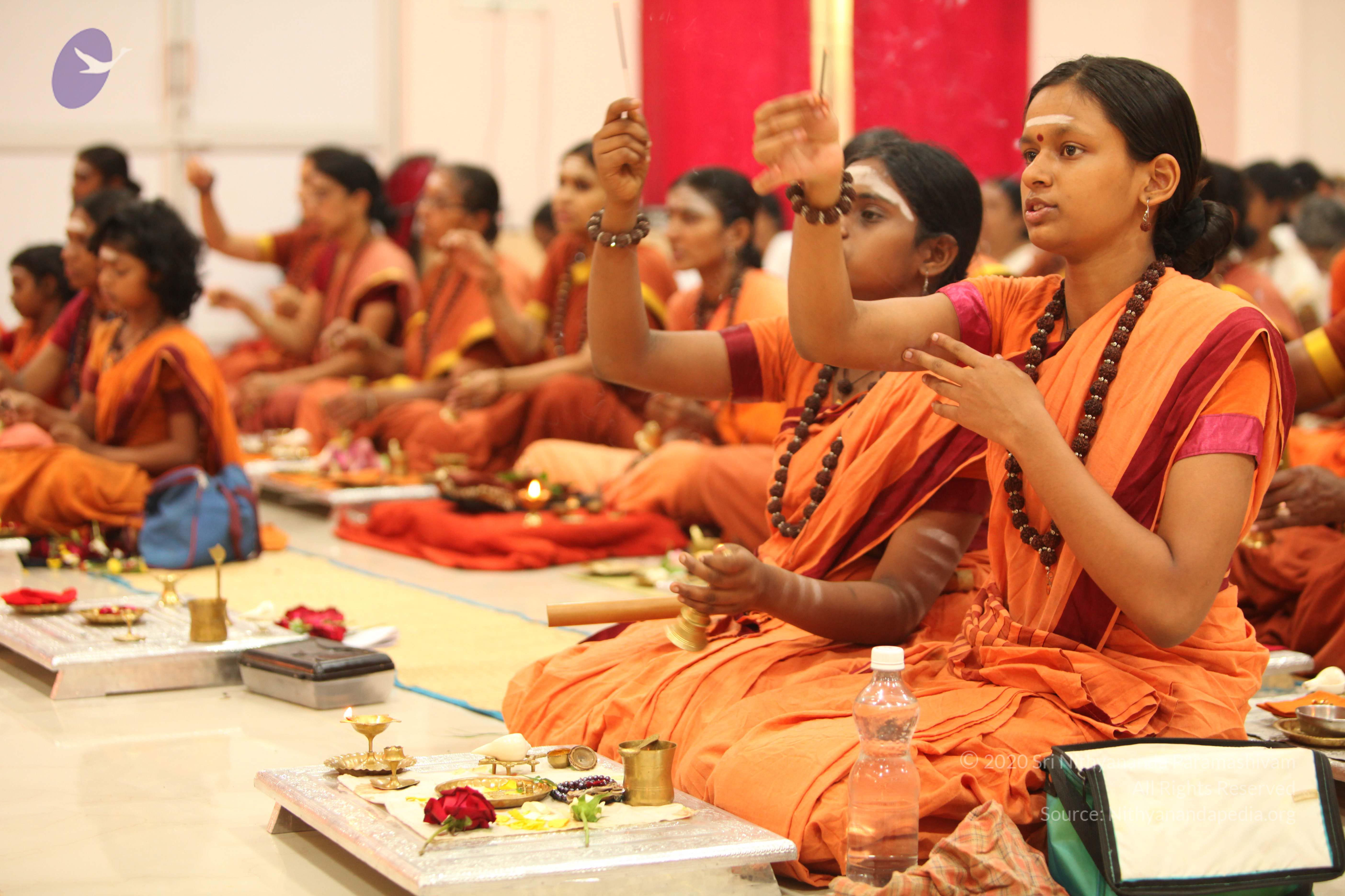 20130509_Photo_1060_IMG_2114_CMP_WM