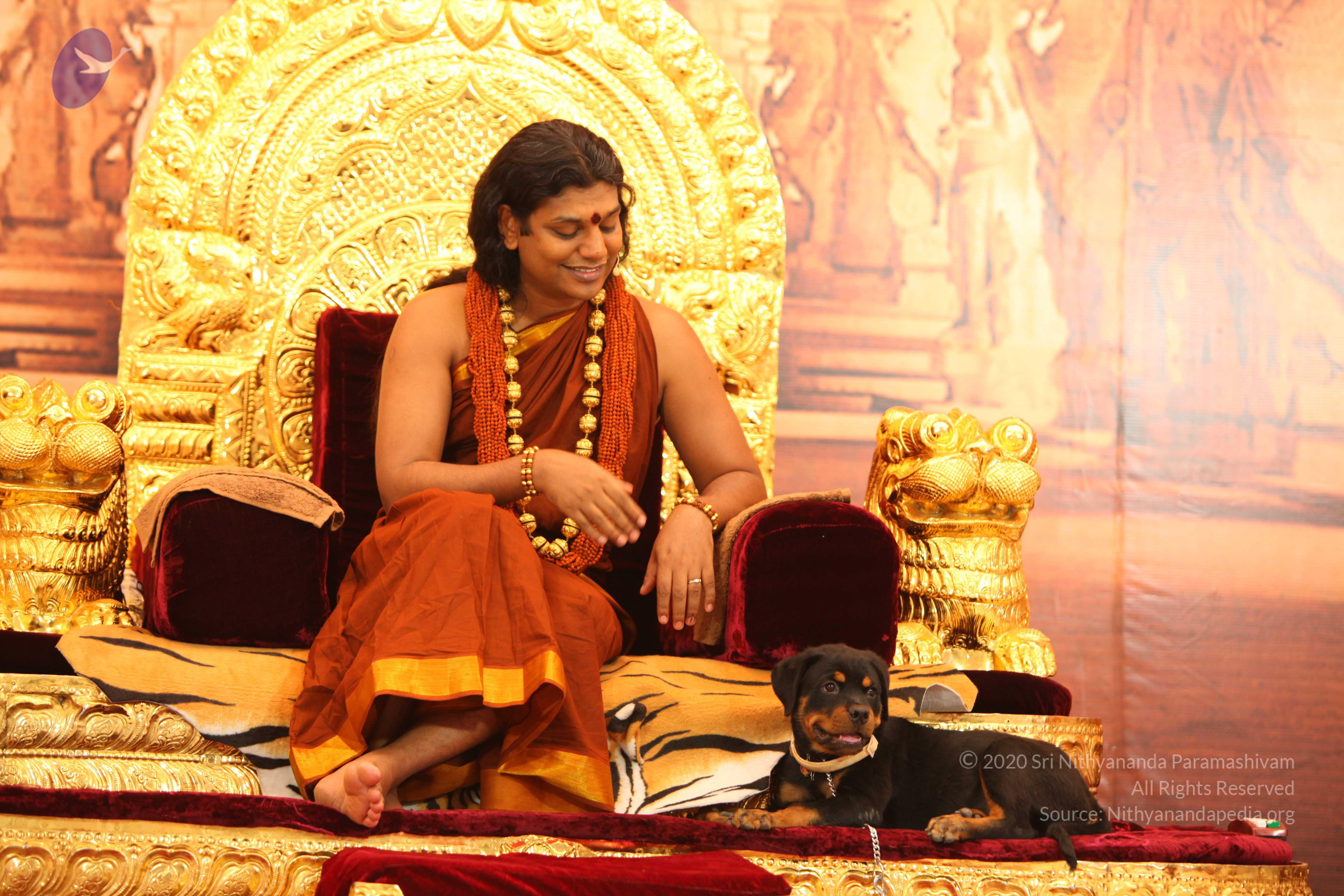 20130509_Photo_1074_IMG_2296_CMP_WM