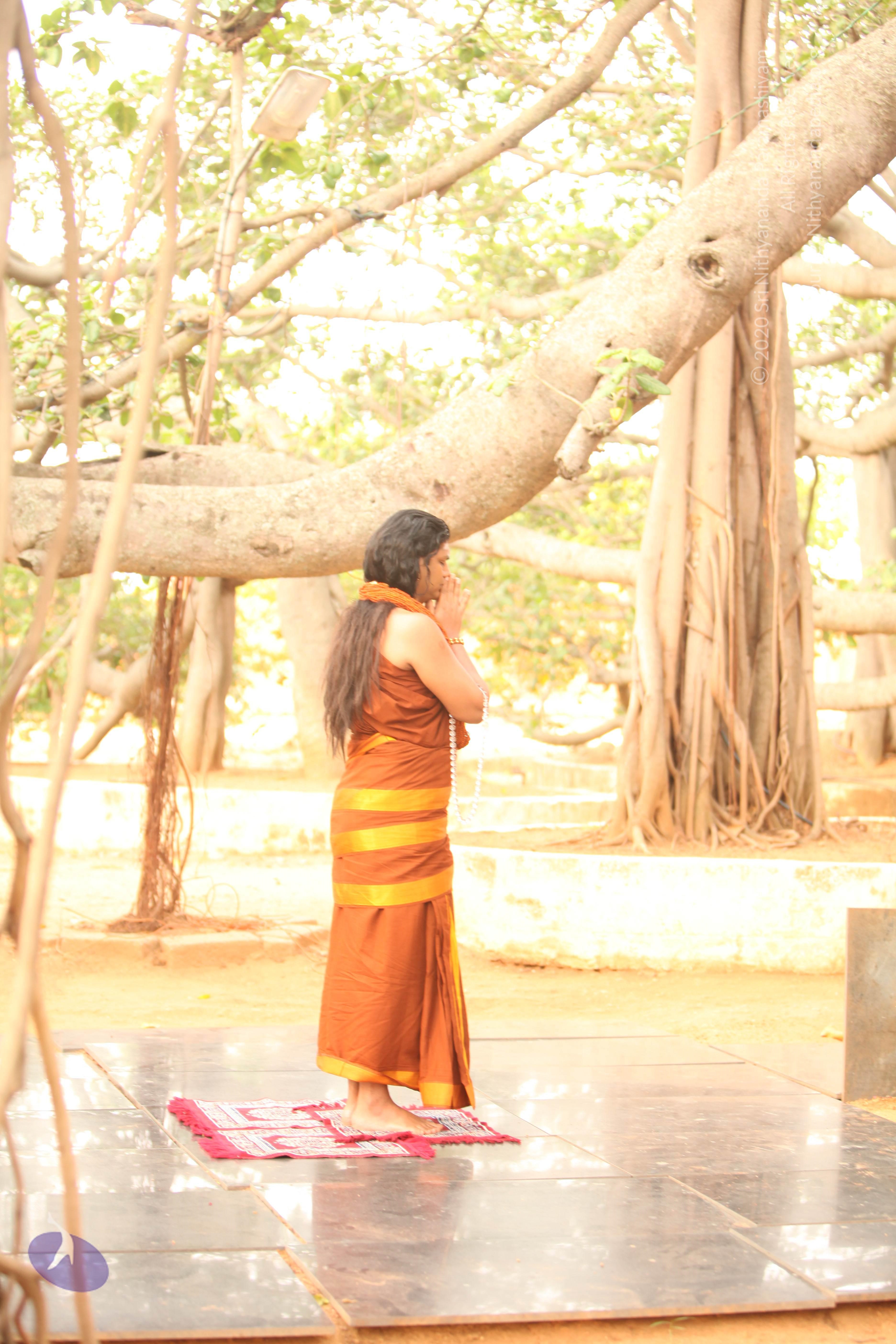 20130509_Photo_1086_IMG_2031_CMP_WM