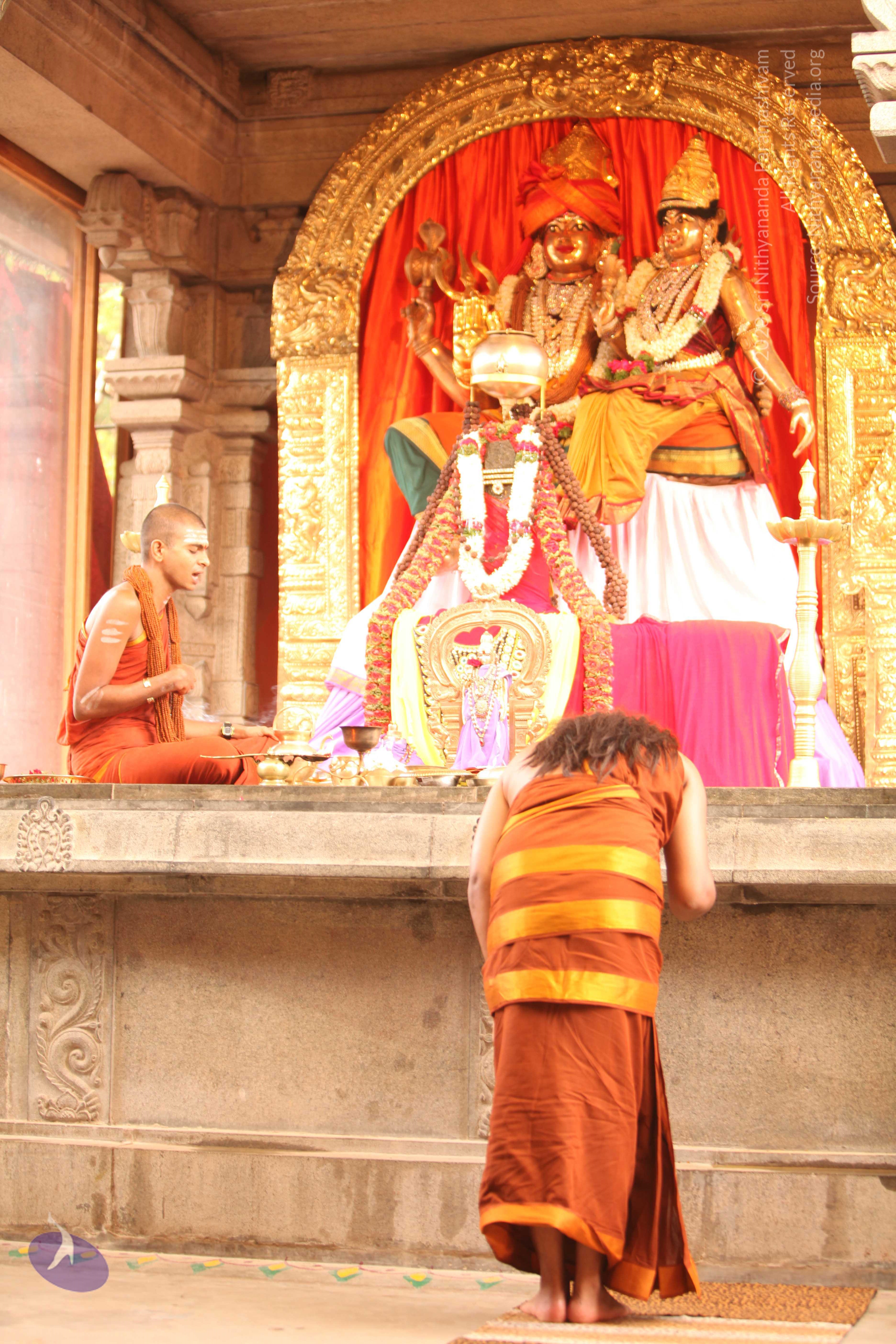 20130509_Photo_1087_IMG_2006_CMP_WM