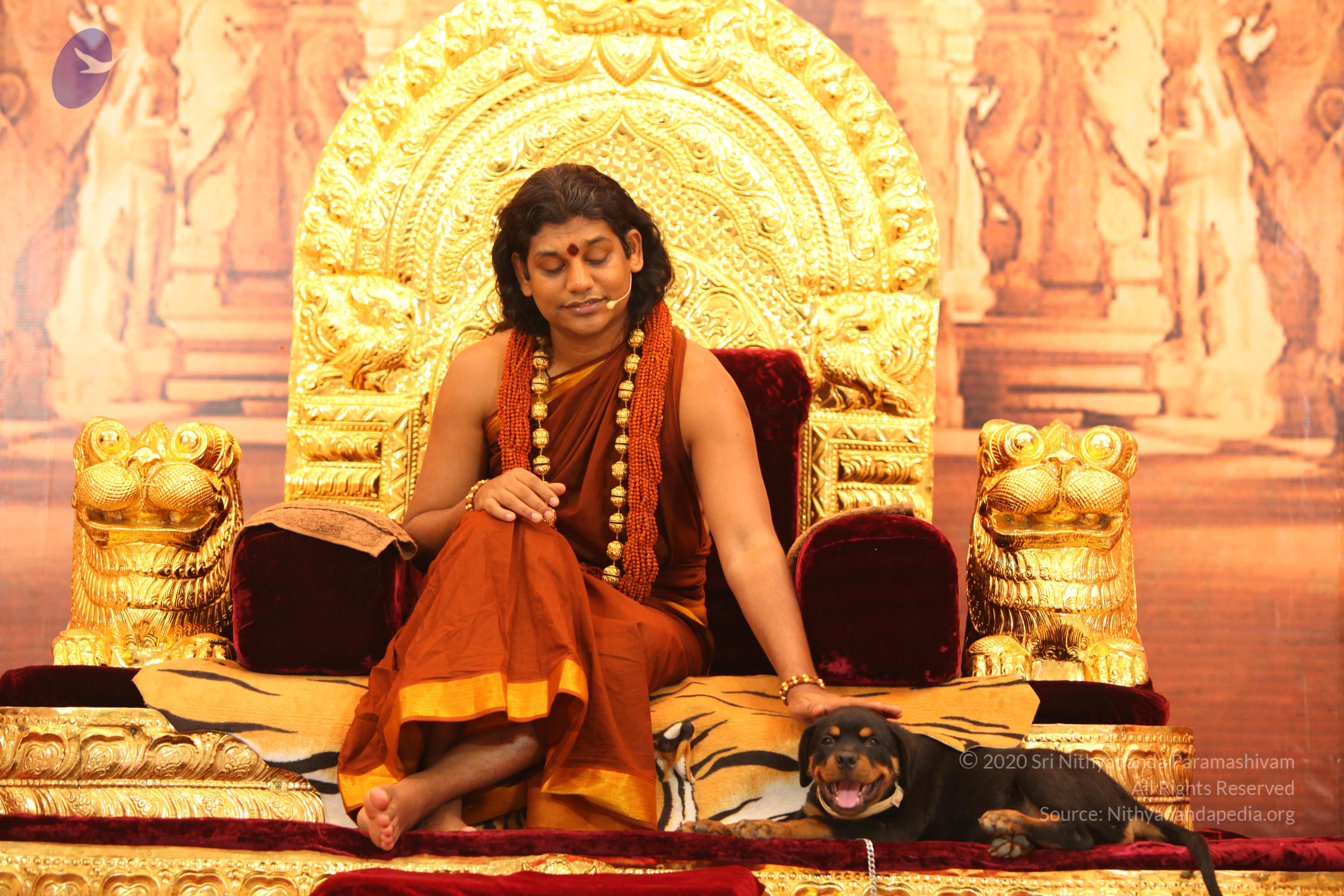 20130509_Photo_1094_IMG_2300_CMP_WM