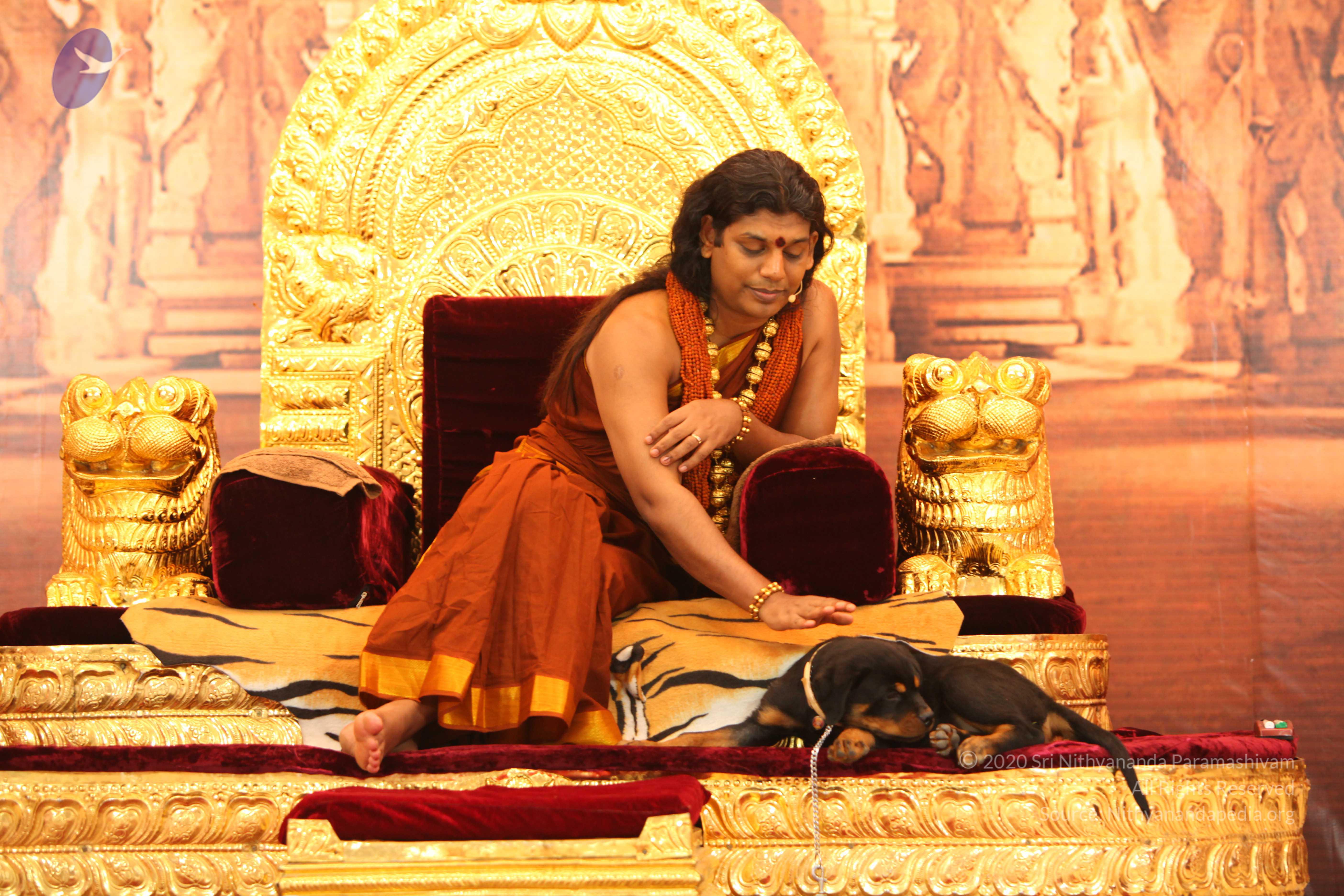 20130509_Photo_1103_IMG_2305_CMP_WM