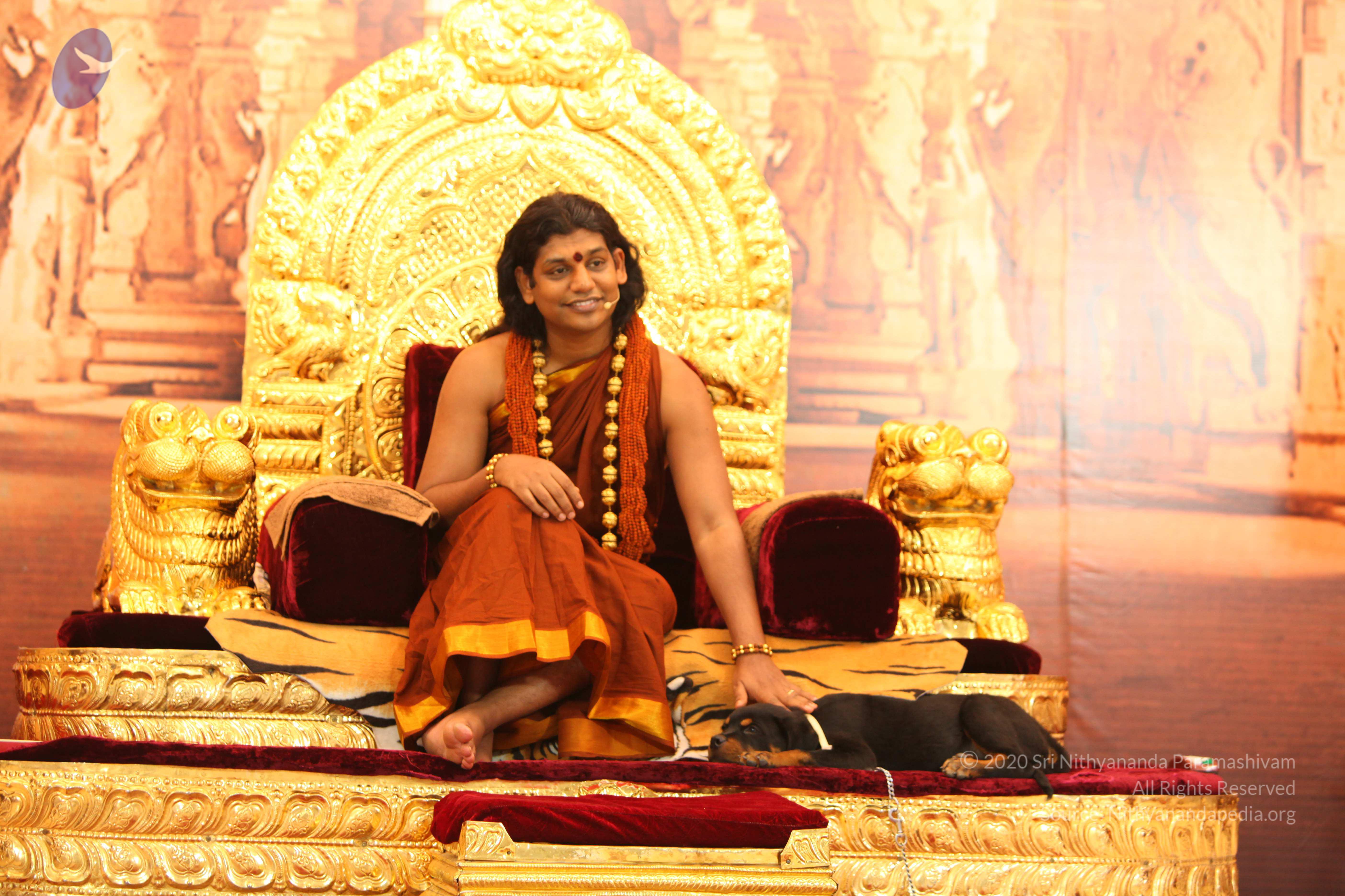 20130509_Photo_1105_IMG_2290_CMP_WM