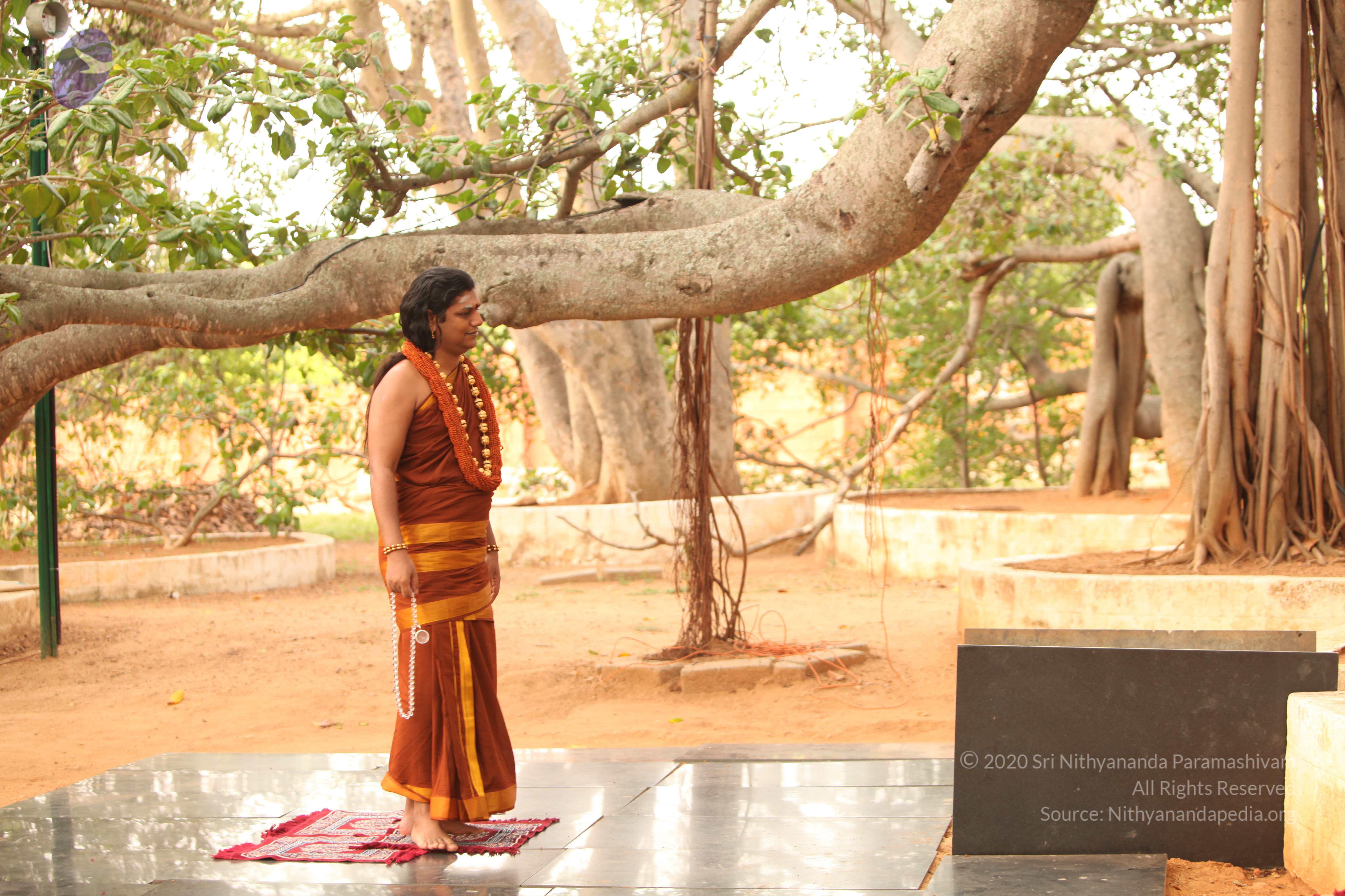 20130509_Photo_1110_IMG_2034_CMP_WM