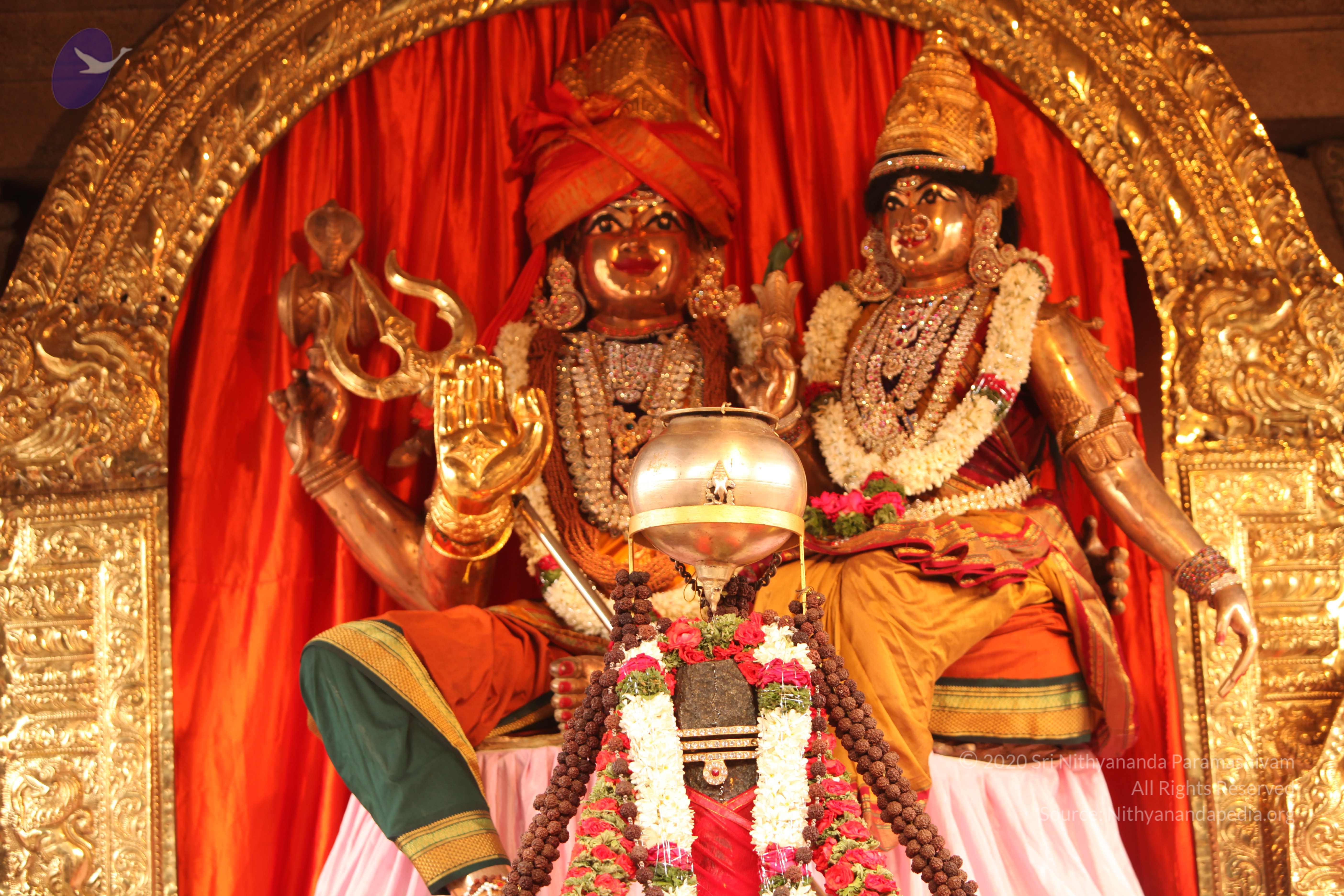 20130509_Photo_1112_IMG_2056_CMP_WM