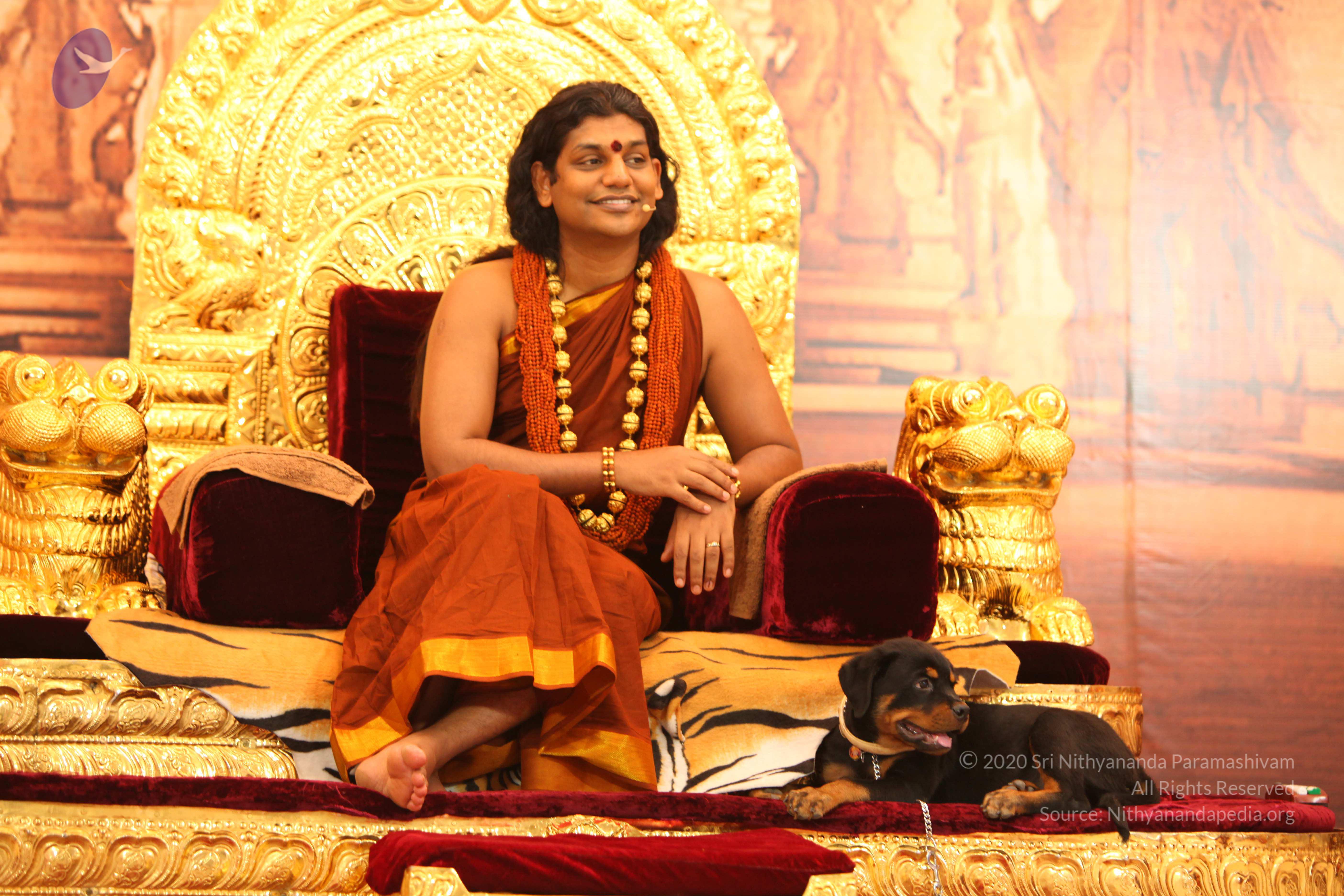 20130509_Photo_1130_IMG_2297_CMP_WM