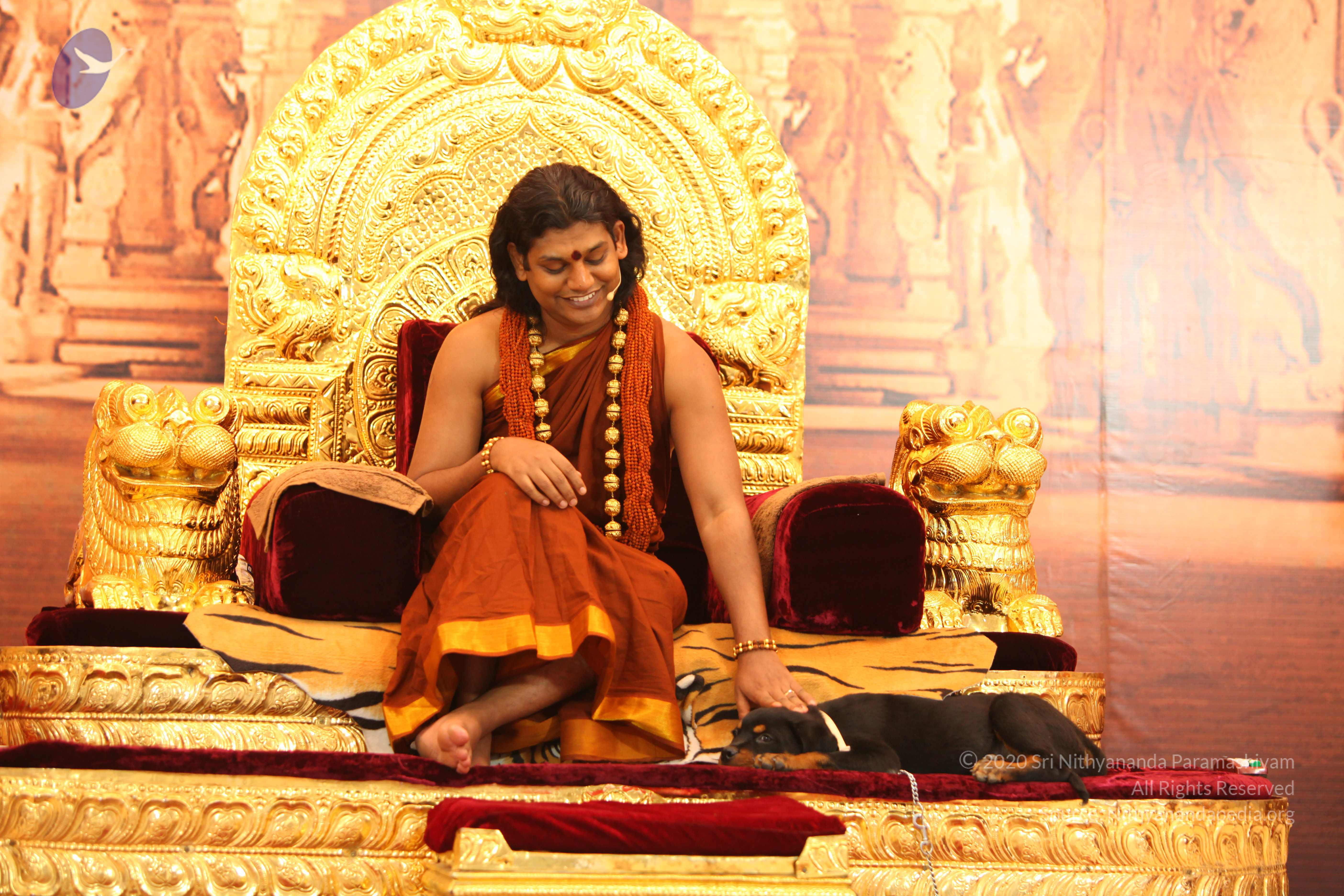 20130509_Photo_1136_IMG_2292_CMP_WM