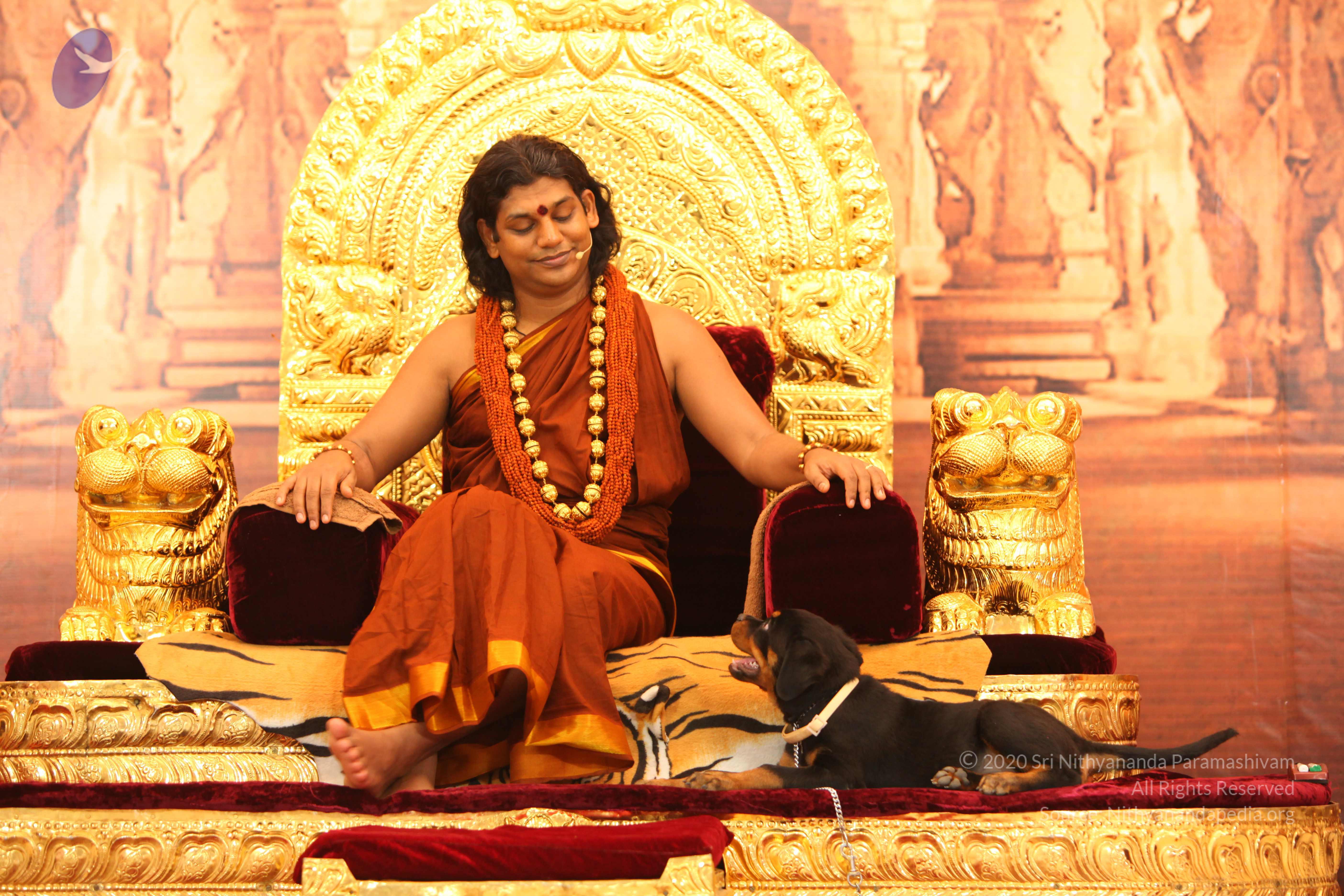 20130509_Photo_1139_IMG_2307_CMP_WM