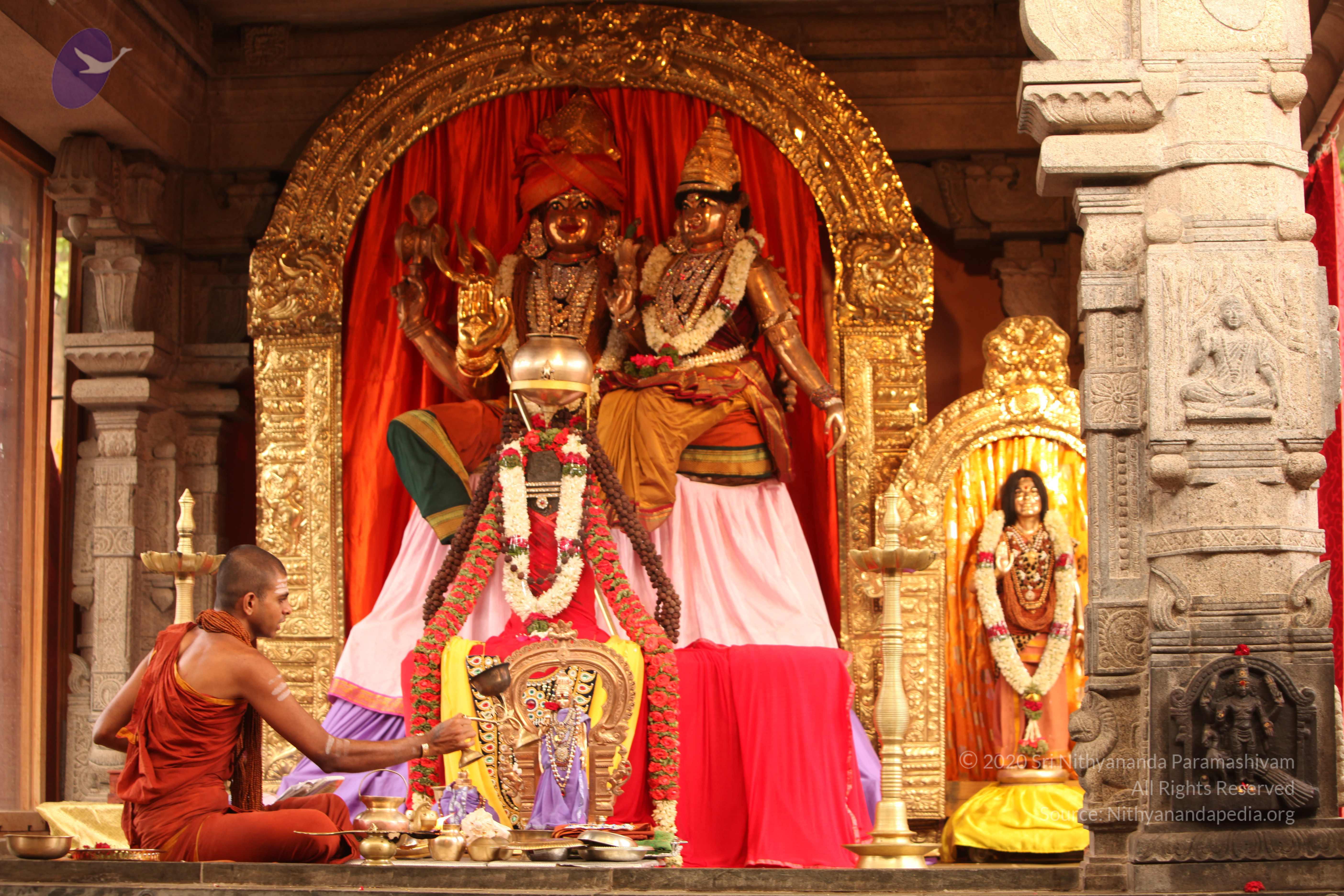 20130509_Photo_1146_IMG_2048_CMP_WM