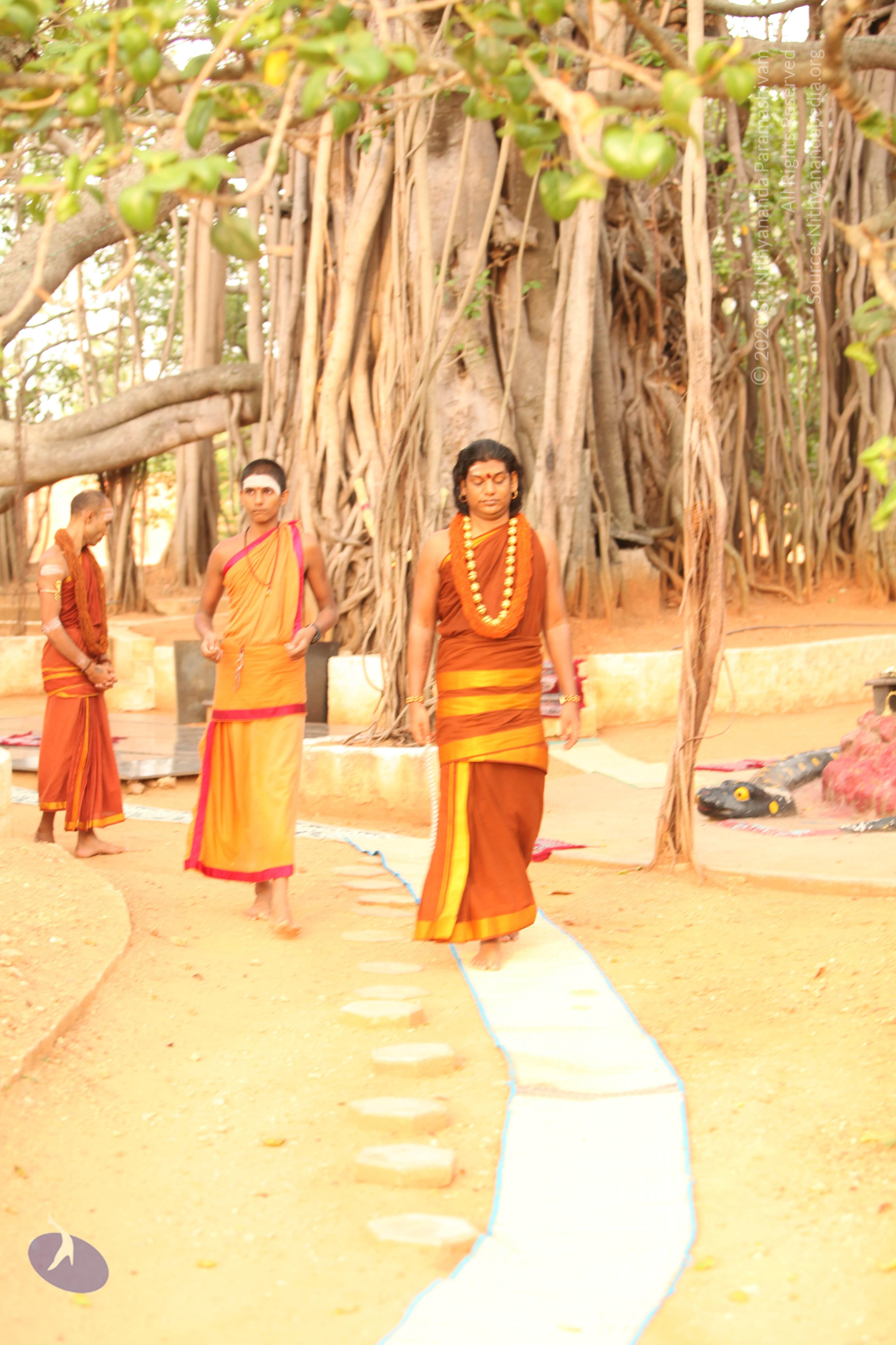 20130509_Photo_1151_IMG_2036_CMP_WM