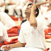 20130509_Photo_1009_IMG_1981_CMP_WM