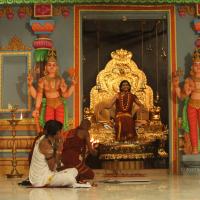 20130509_Photo_1045_IMG_2074_CMP_WM