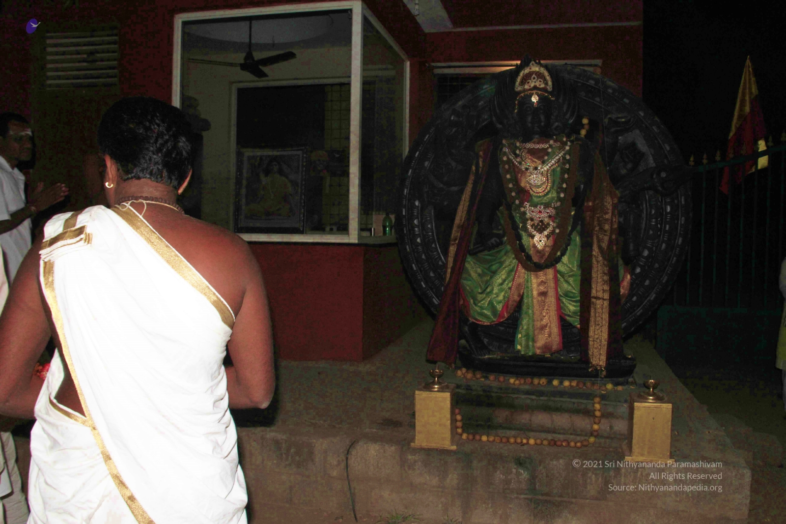 20131114_Photo_1003_IMG_6779