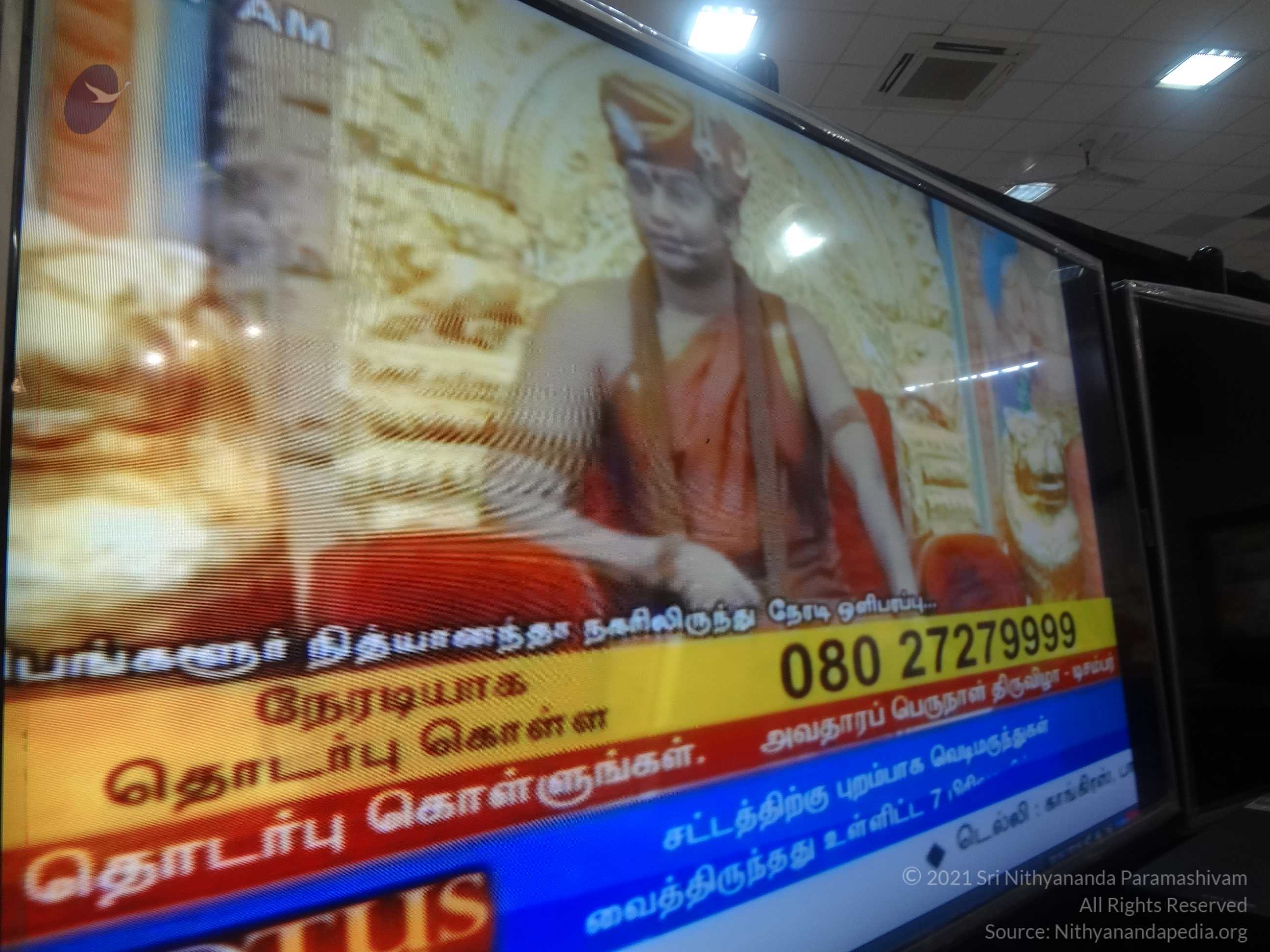 20131128_Photo_1033_20131128_DSC04542-0101