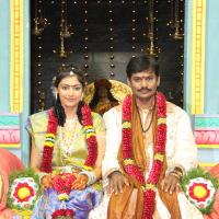 20130916_Photo_1030_IMG_2562_CMP_WM