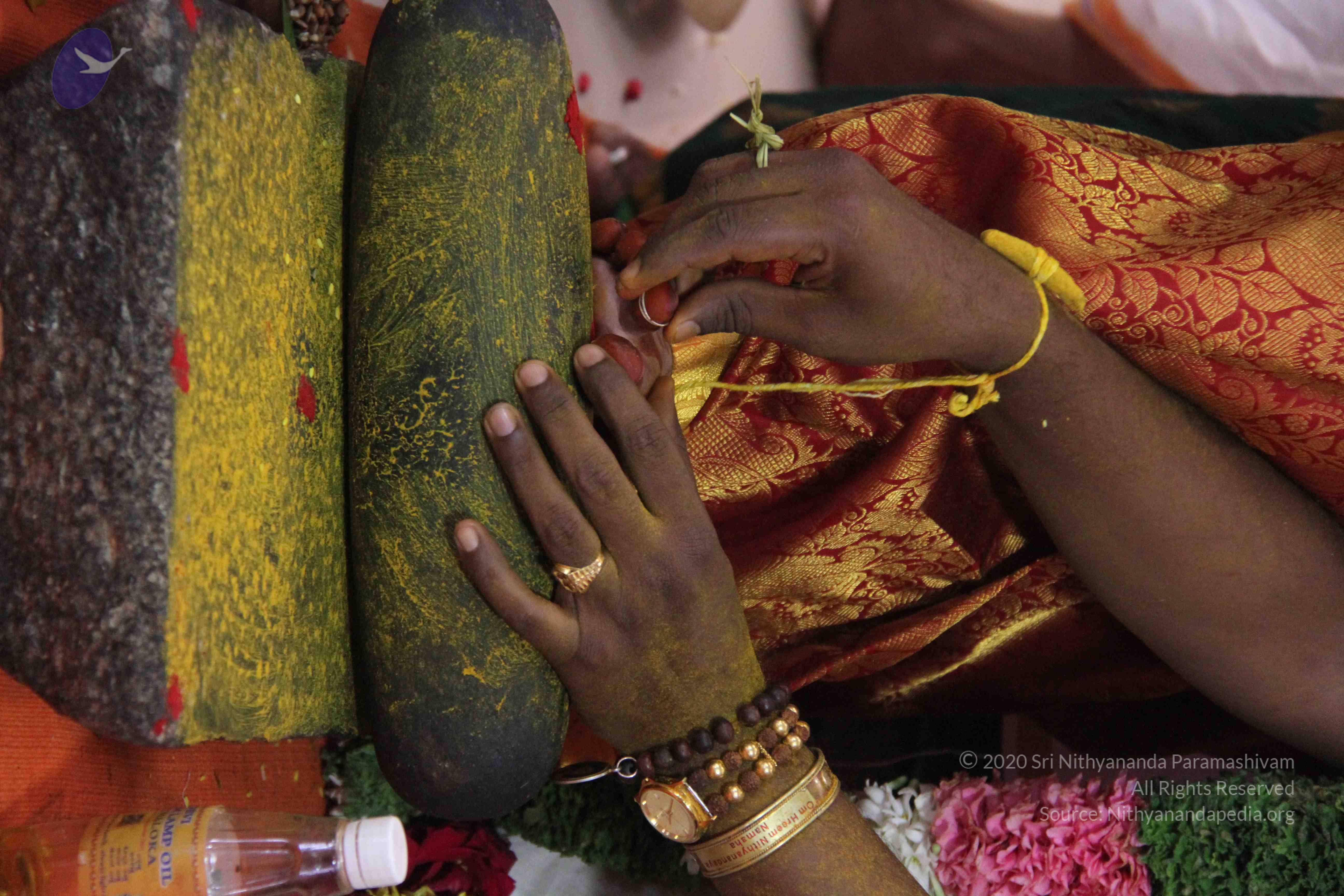 20130916_Photo_1009_IMG_3770_CMP_WM