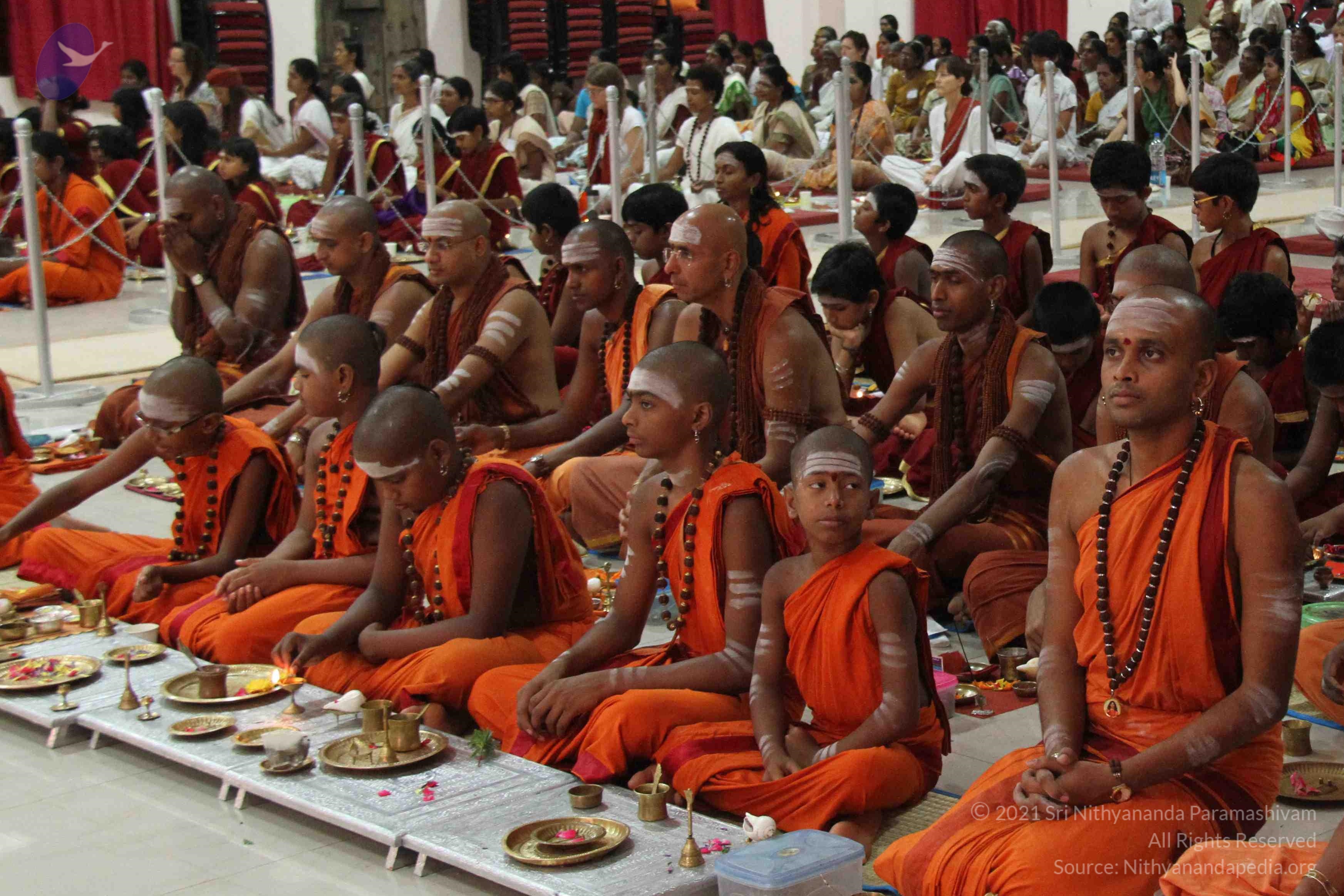 IMG_1237_CMP_WM done