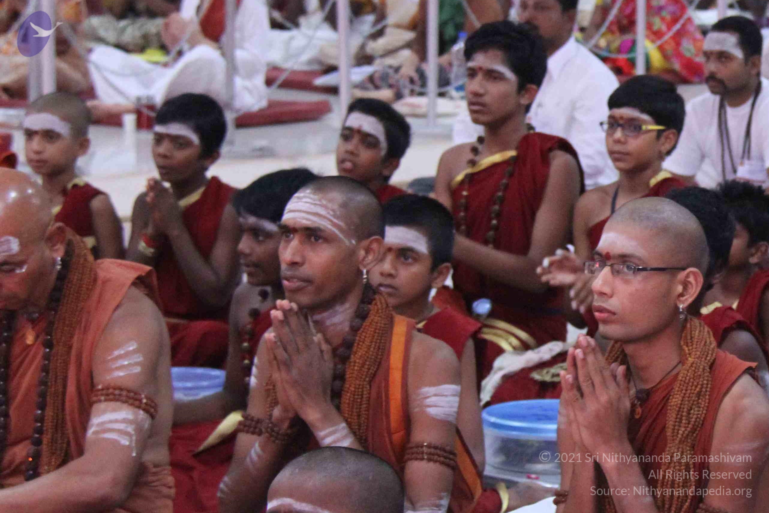 IMG_1341_CMP_WM done