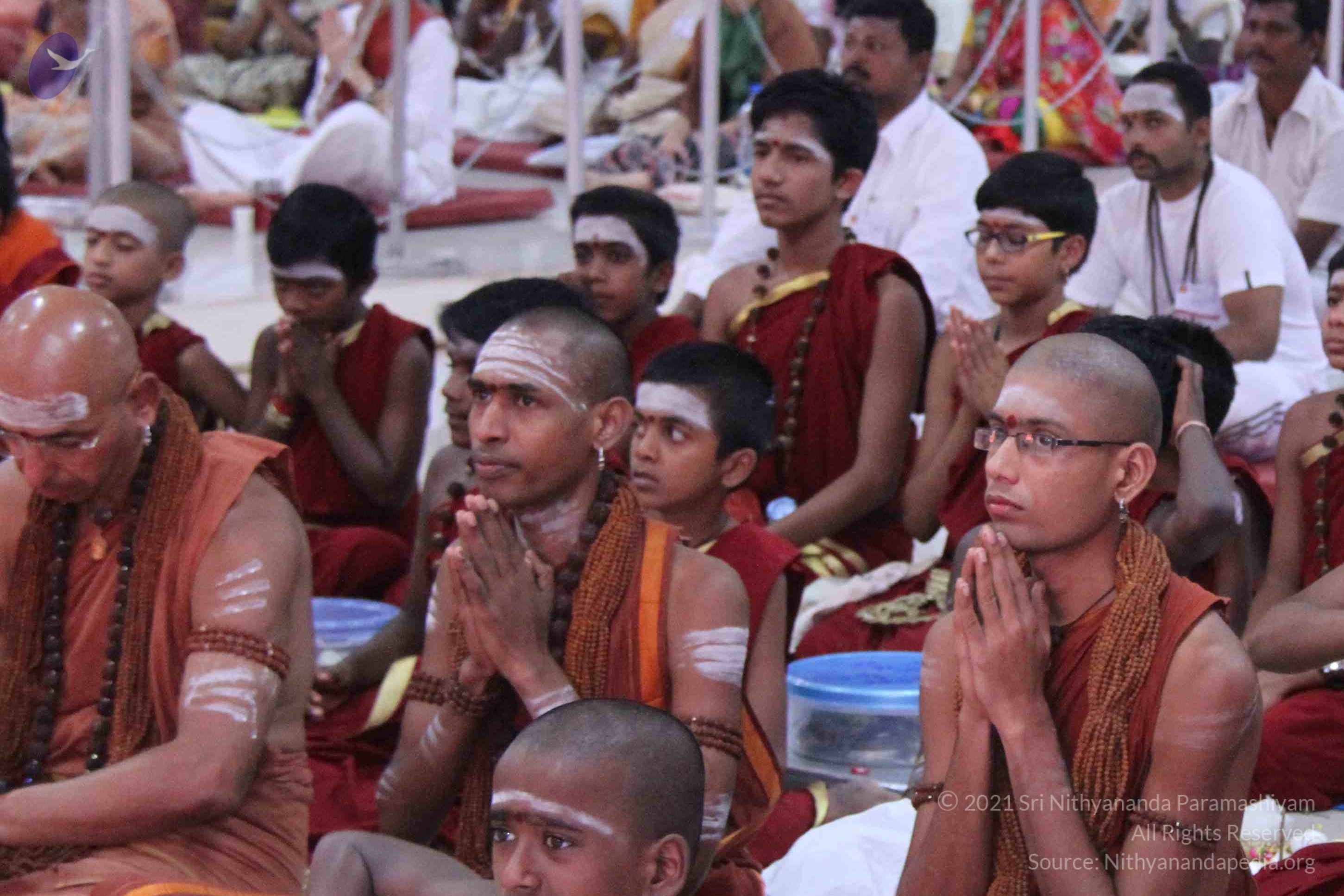 IMG_1342_CMP_WM done