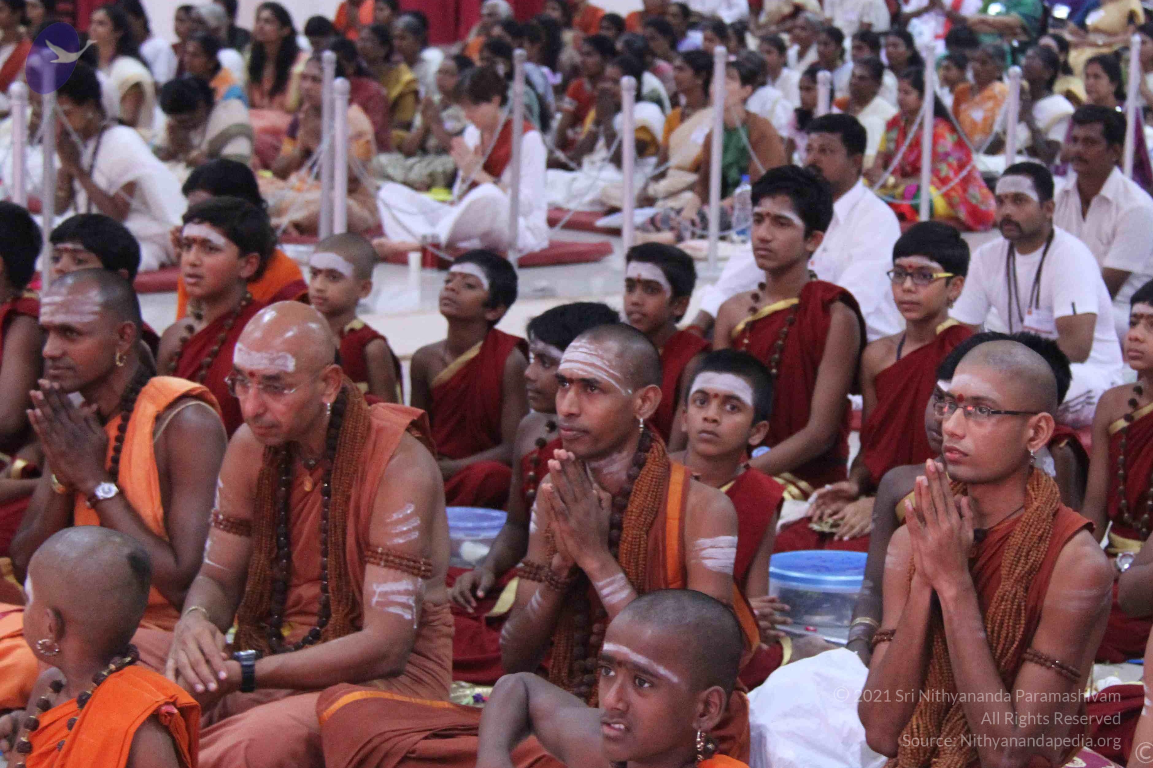 IMG_1344_CMP_WM done